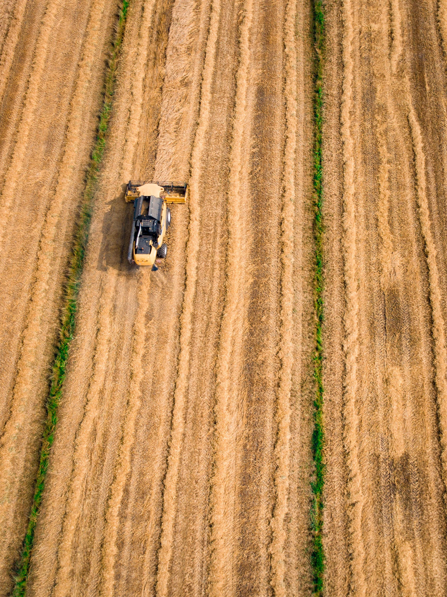 Harvesting Grains From A Farm With Combine Harvester Wallpaper