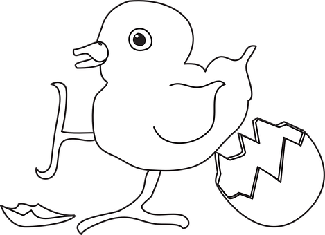 Hatching Chick Illustration PNG