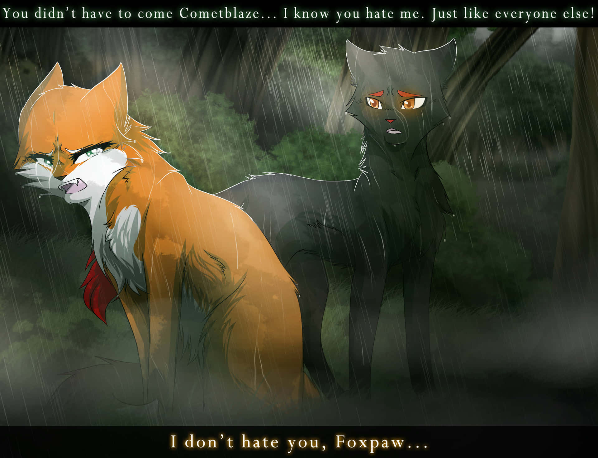 Two Foxes In The Rain With The Words I Don't Have You For Me Wallpaper
