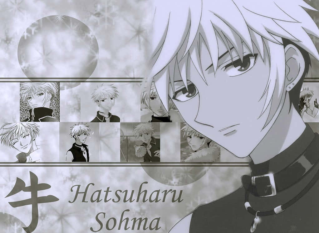 Collage De Hatsuharu Sohma Fond d'écran