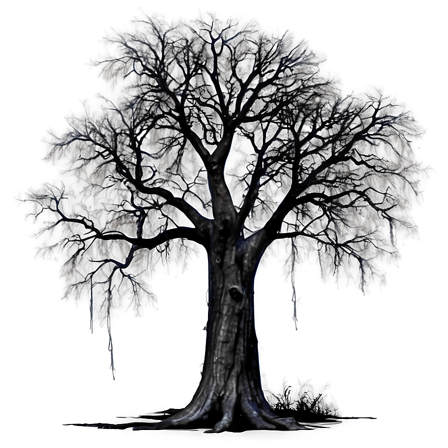 Haunted Black Tree Png 06212024 PNG