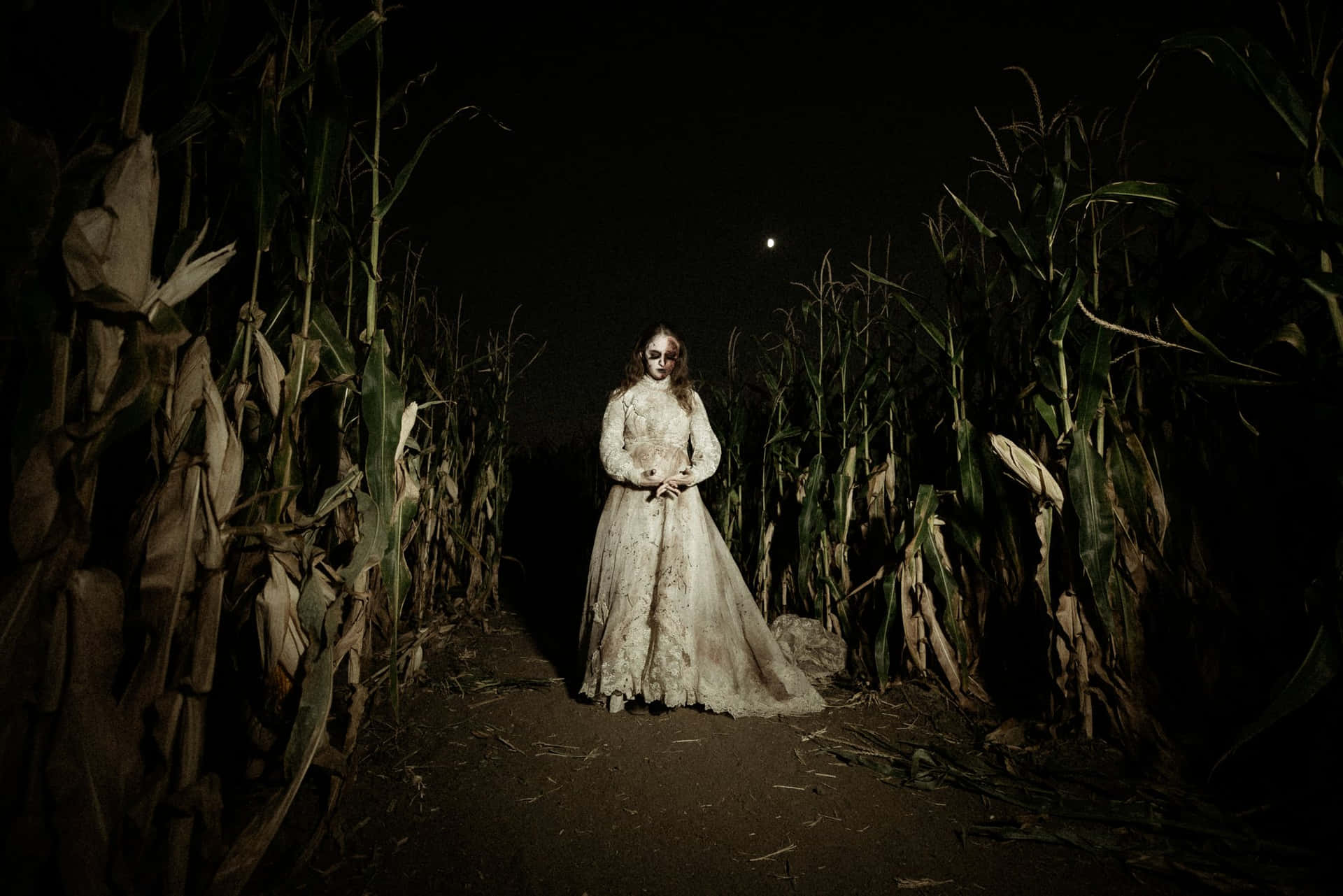 Find your way through acres of haunted corn mazes this Halloween season Wallpaper