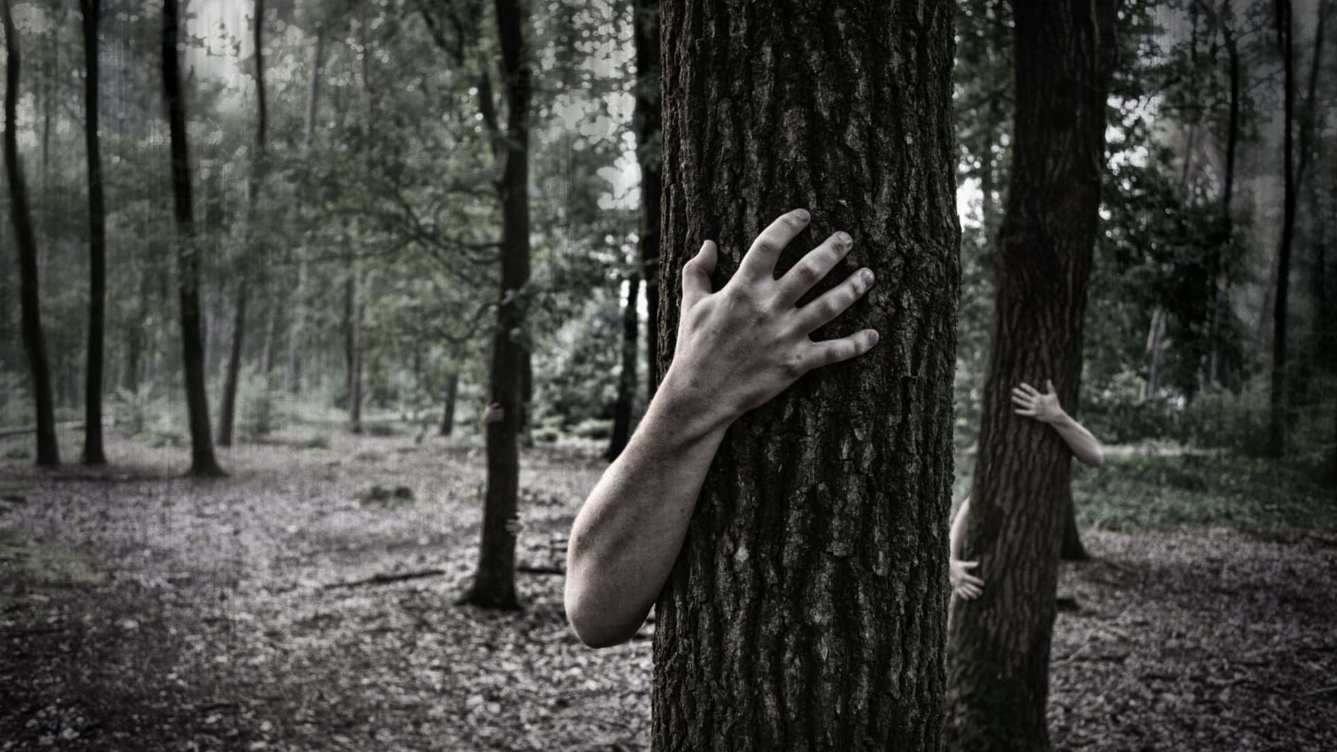 Exploration of the Chilling Dangers of Haunted Forests Wallpaper