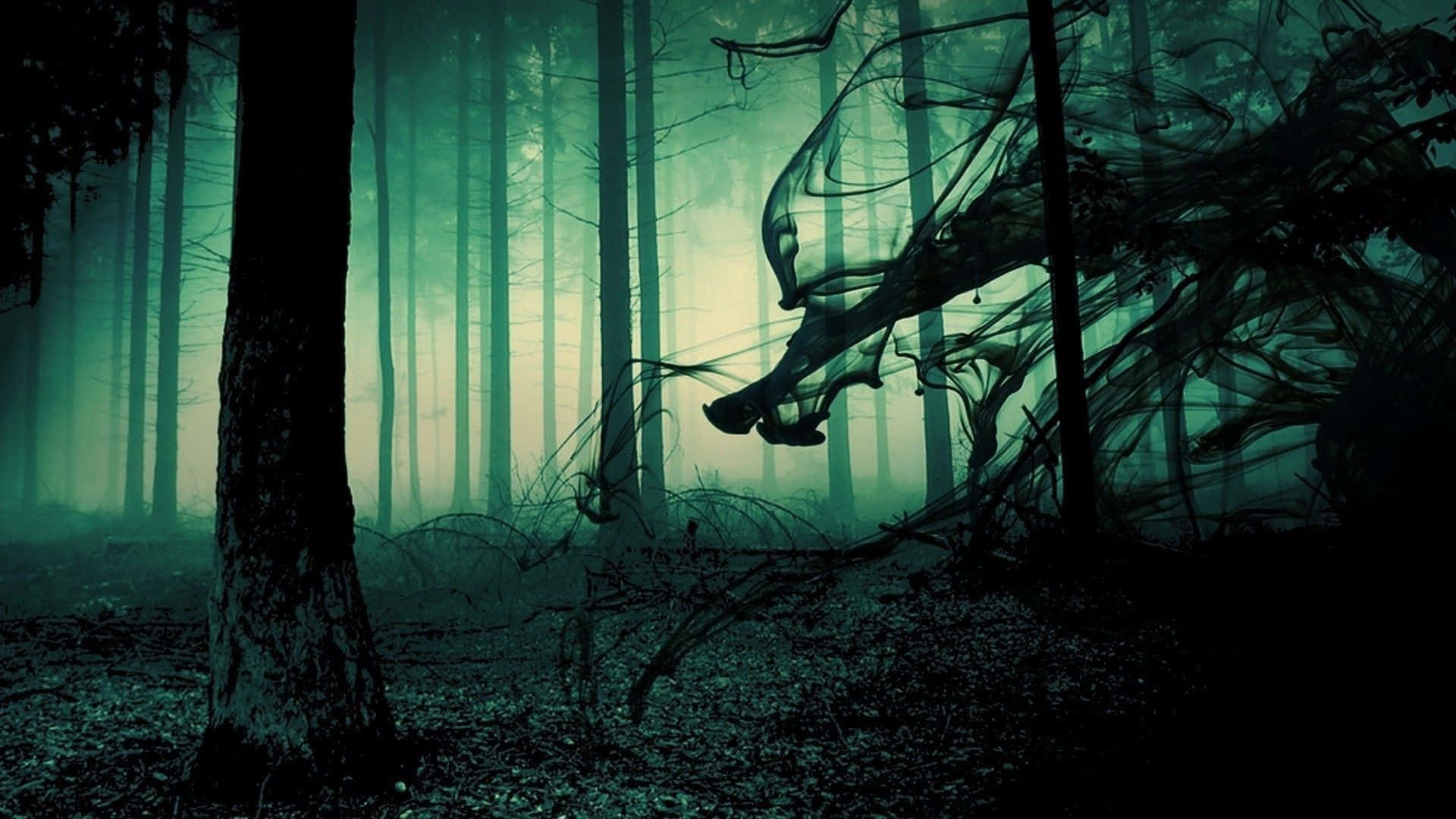"The darkness of the Haunted Forest beckons." Wallpaper