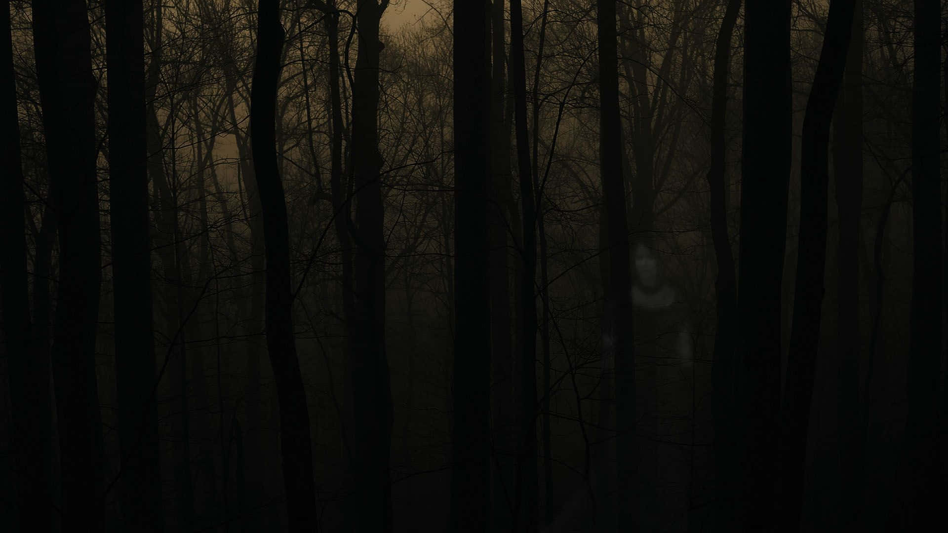 “The Spooky Woodlands of Haunted Forests” Wallpaper