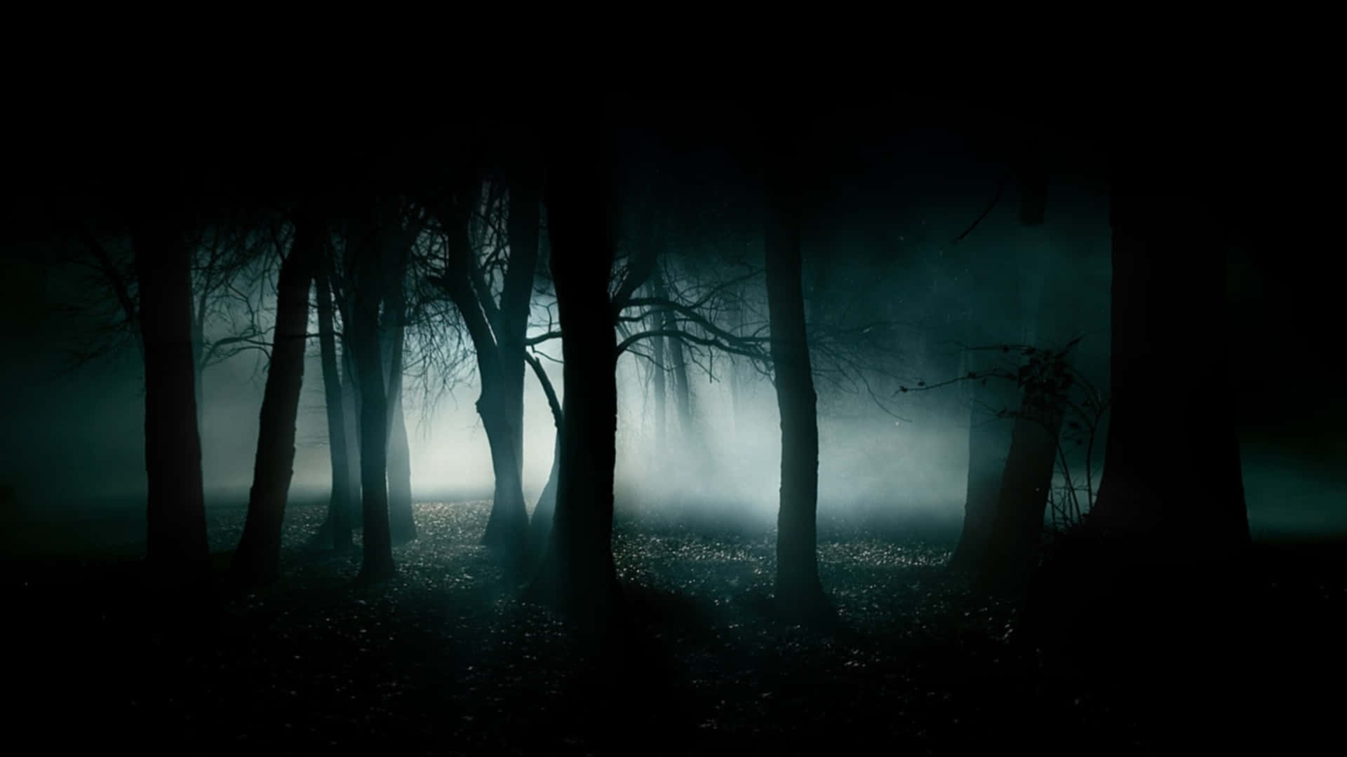 Download Spooky shadows fill the Haunted Forests Wallpaper 