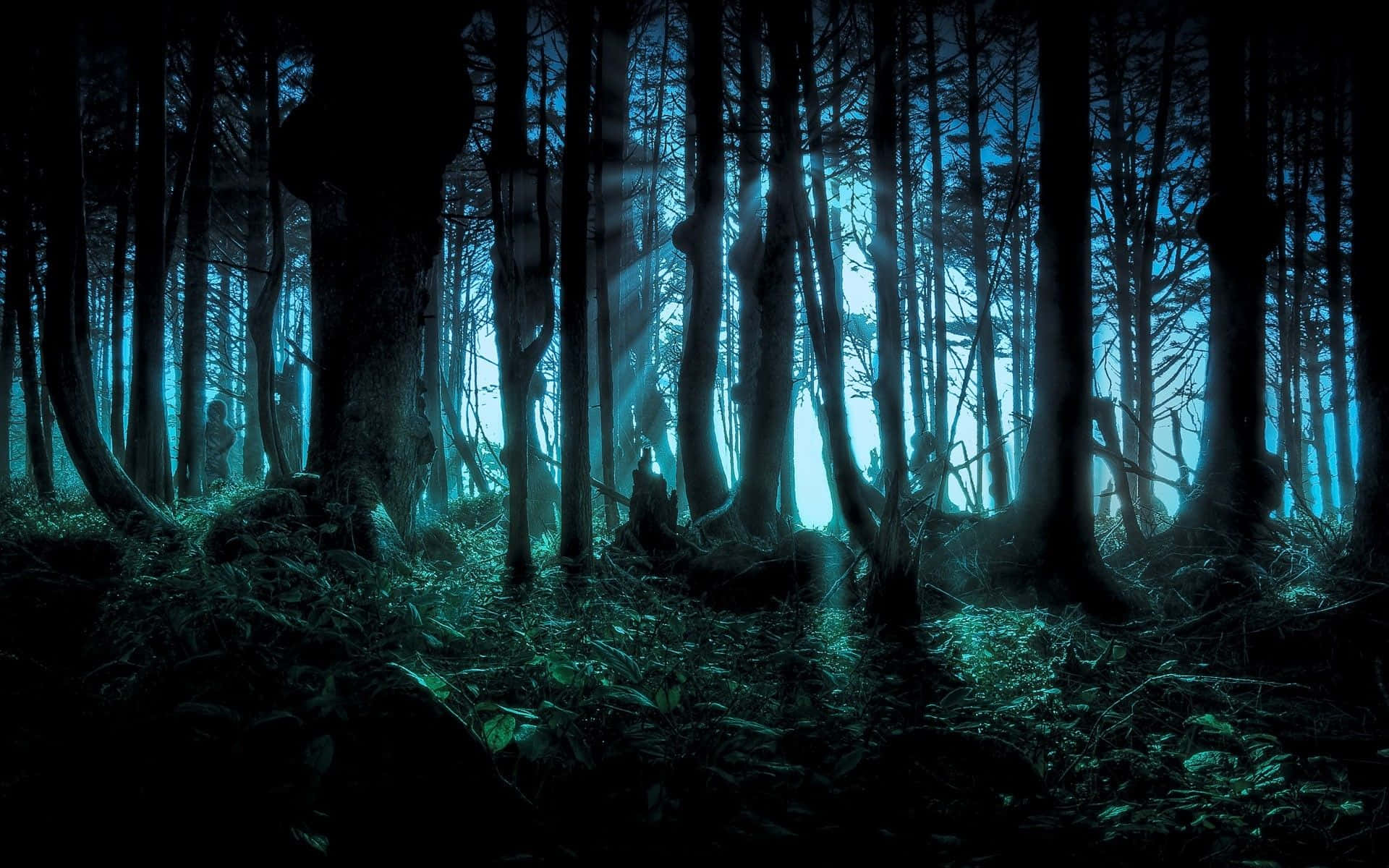 Explore the Spooky Depths of a Haunted Forest Wallpaper