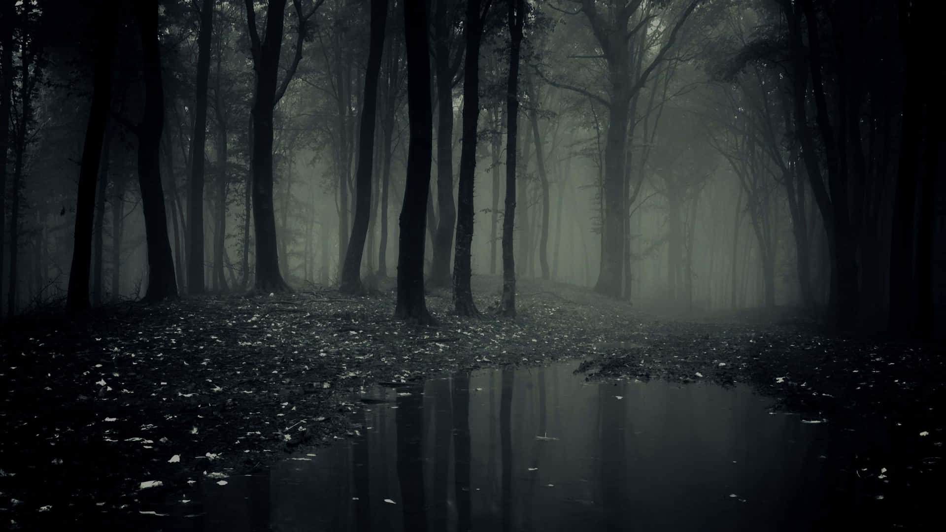 Unearthly terrors lurk in the depths of This Haunted Forest Wallpaper