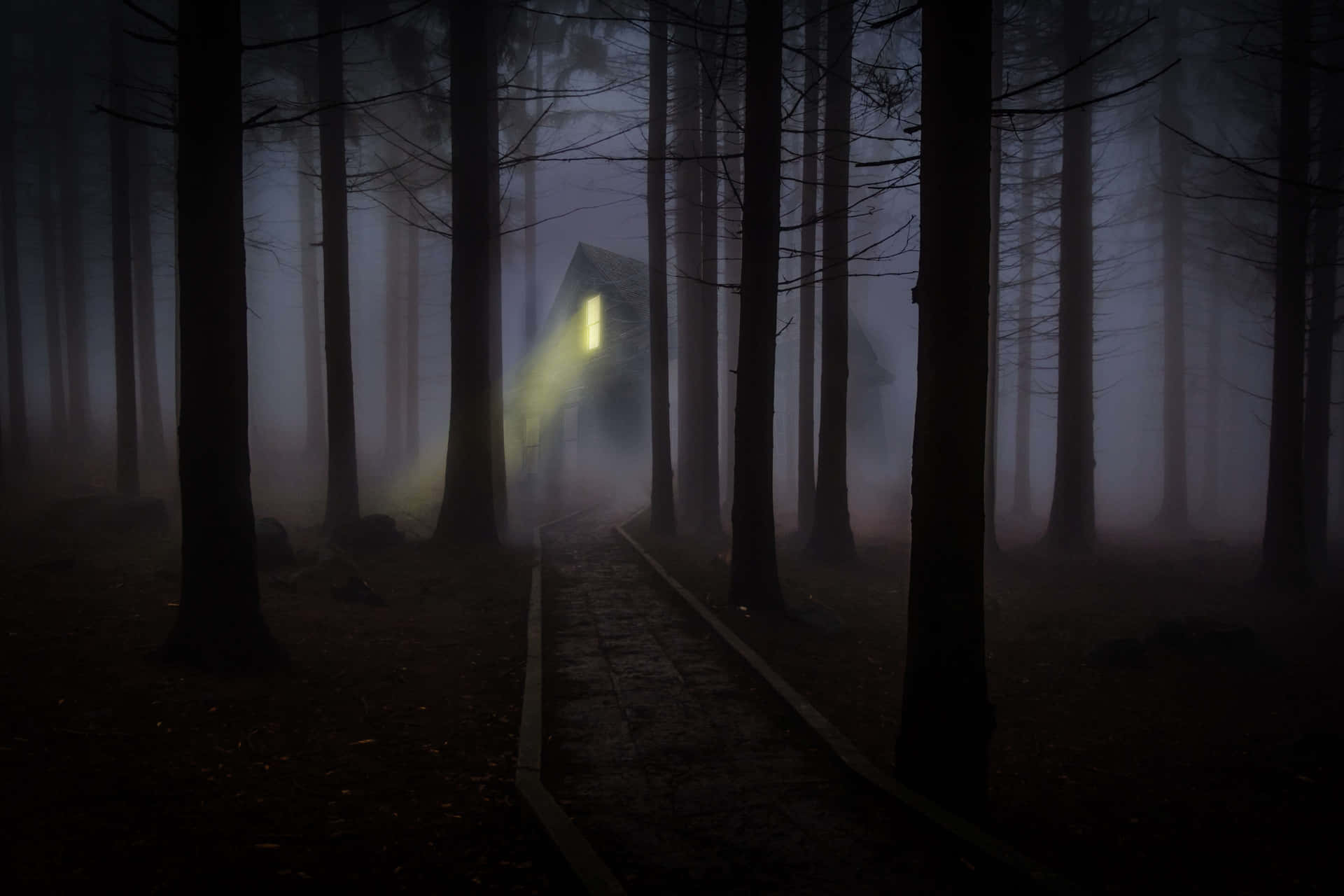 Enter the Haunted Forest at Your Own Risk Wallpaper
