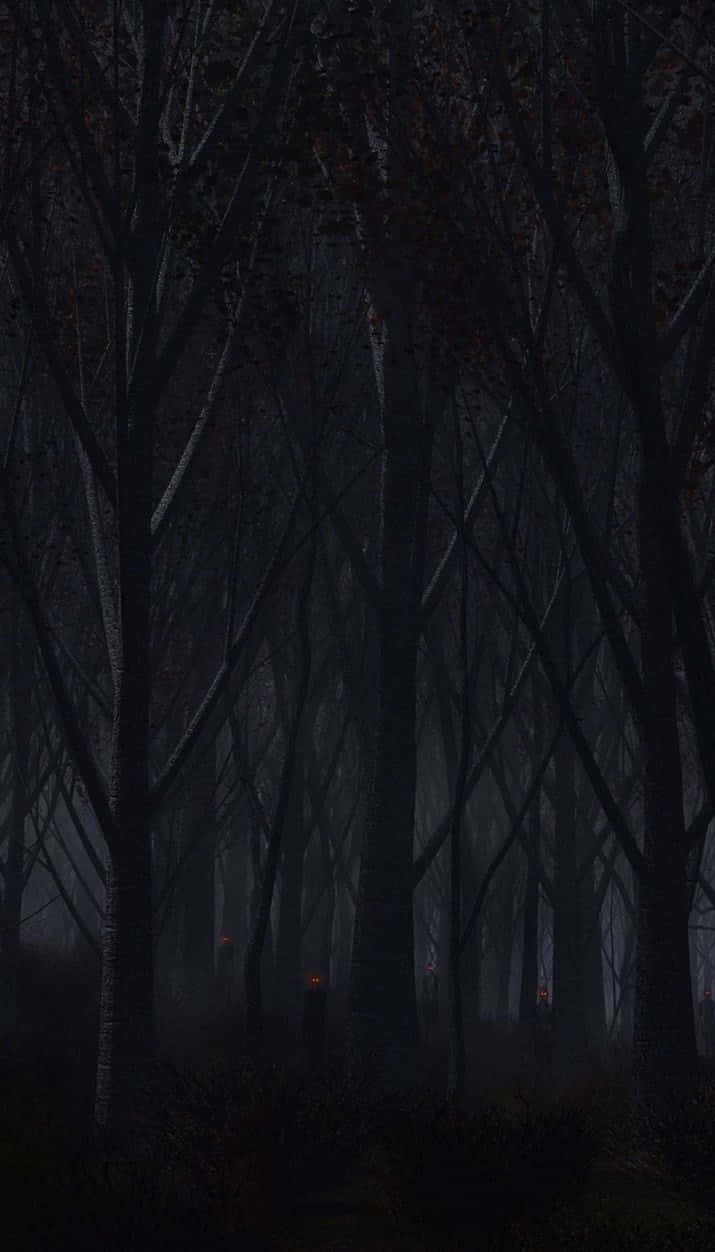 Look at the eeriness of this haunted forest Wallpaper