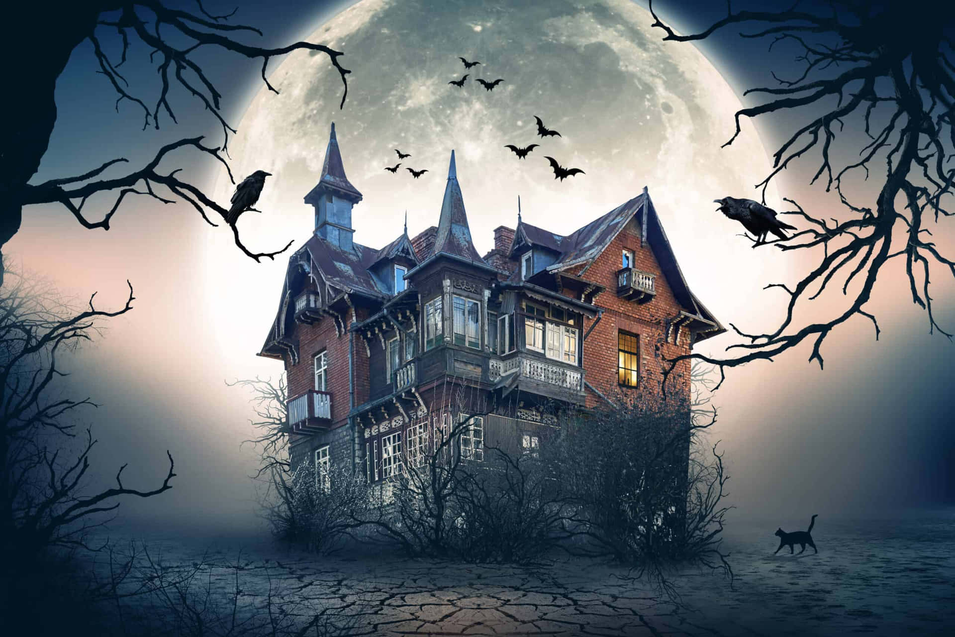 Explore the frightful and mysterious atmosphere of this Haunted House.