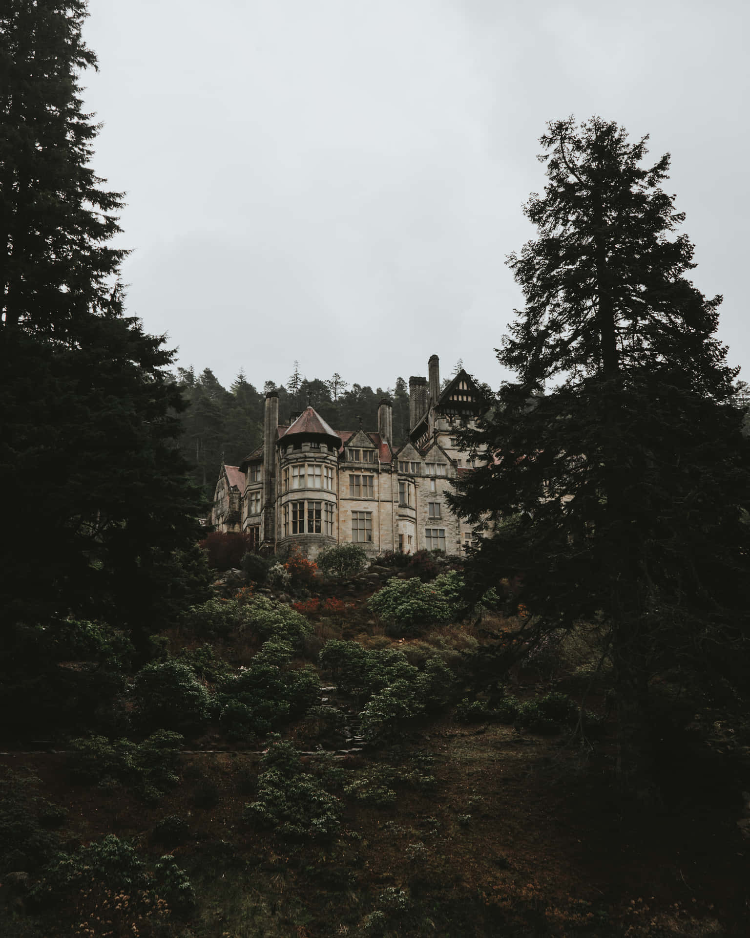 Unavista Oscura E Nebbiosa Dell'inquietante Haunted Mansion