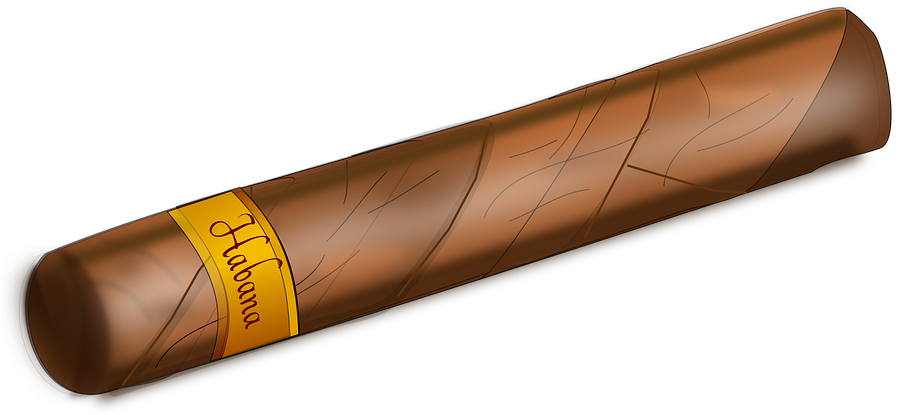 Havana Cigar Illustration.png PNG