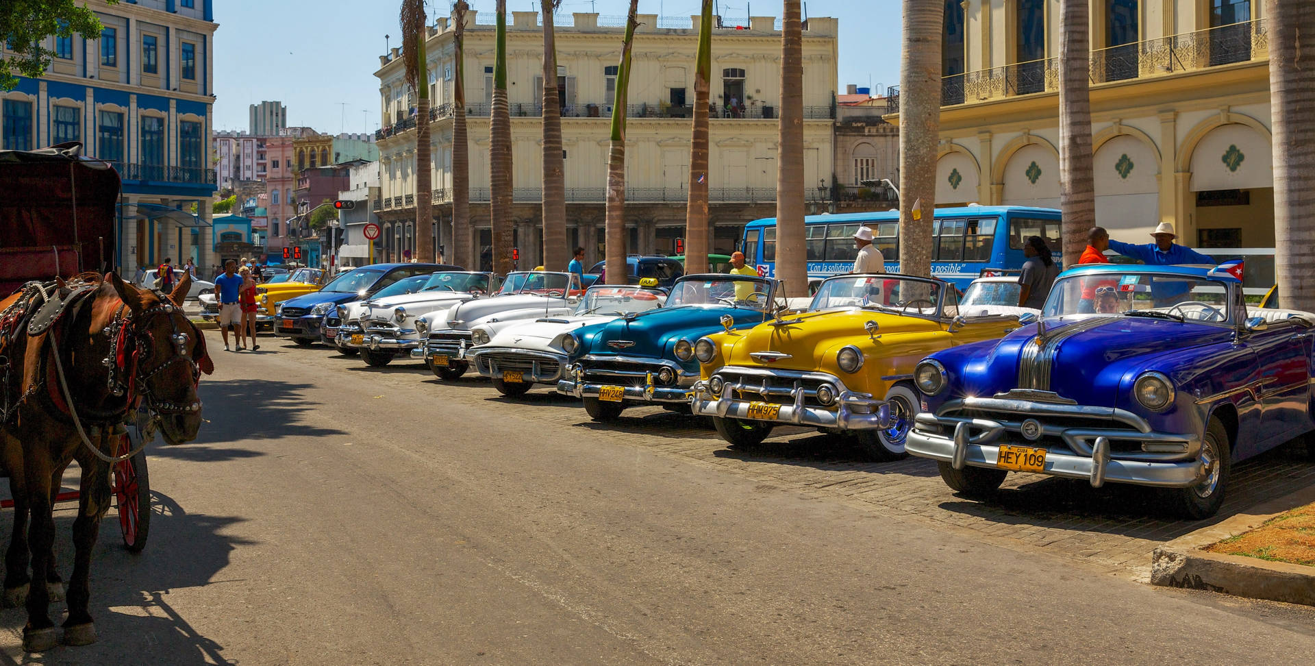 Havana Vintage And New Cars Wallpaper