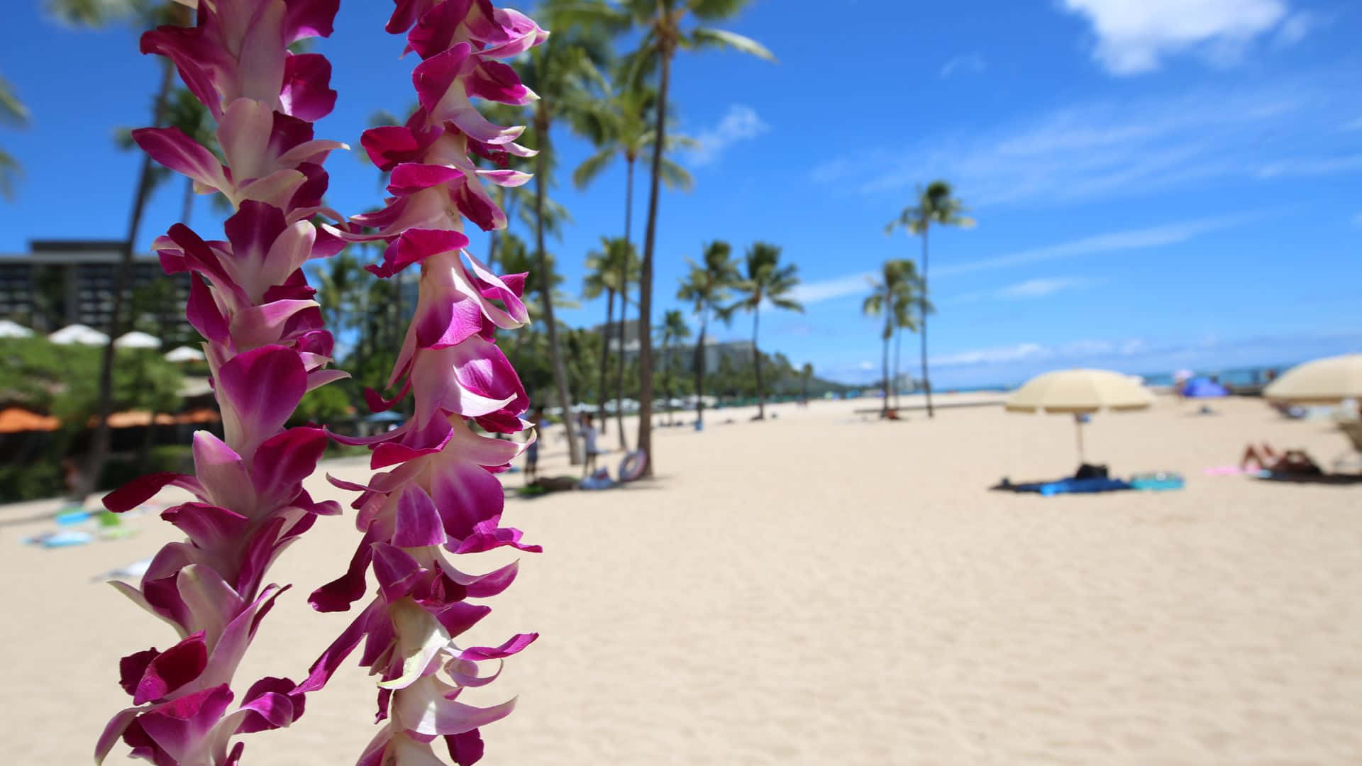 Njutav En Avkopplande Strandsemester På Hawaii