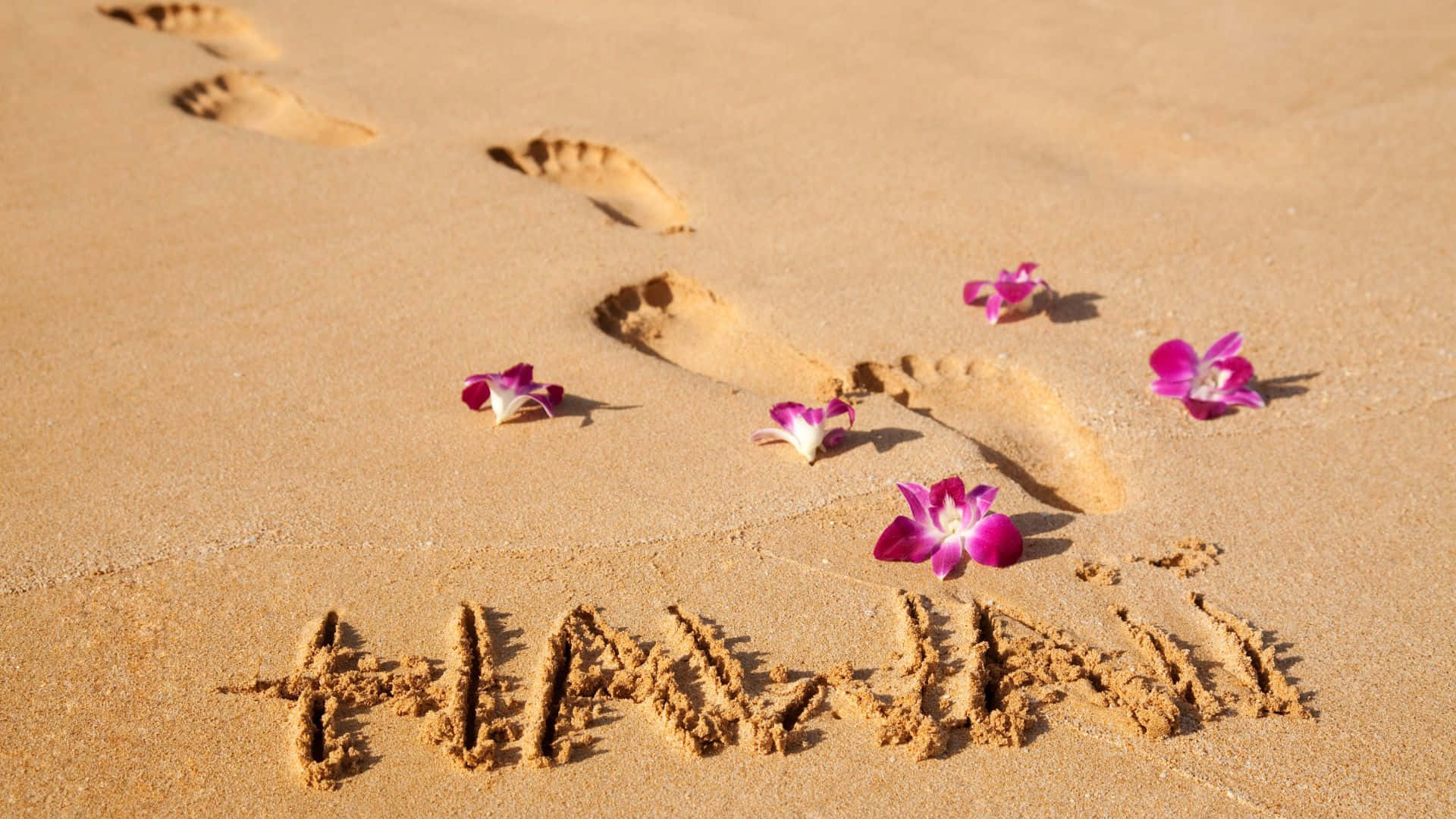 Enjoy the beautiful beaches of Hawaii!