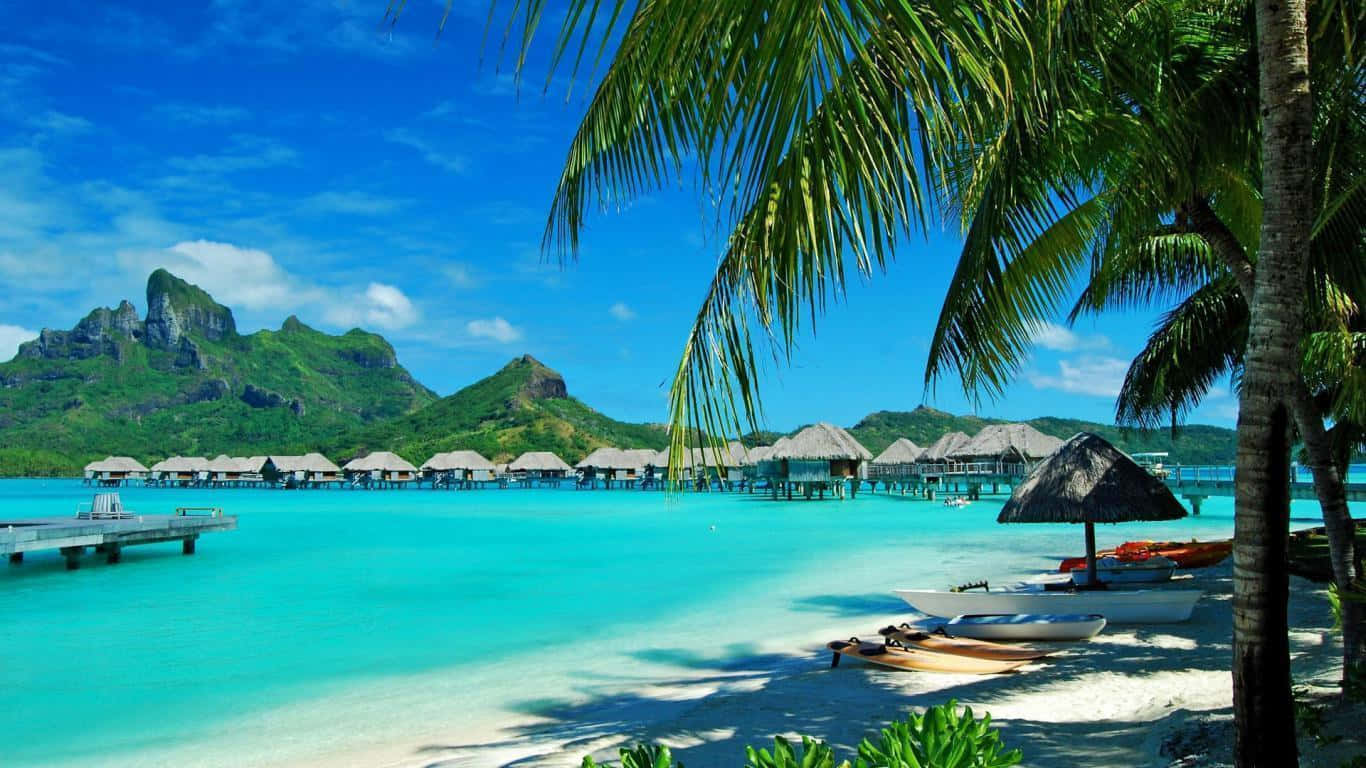 Disfrutadel Sol Hawaiano En Una Hermosa Playa. Fondo de pantalla