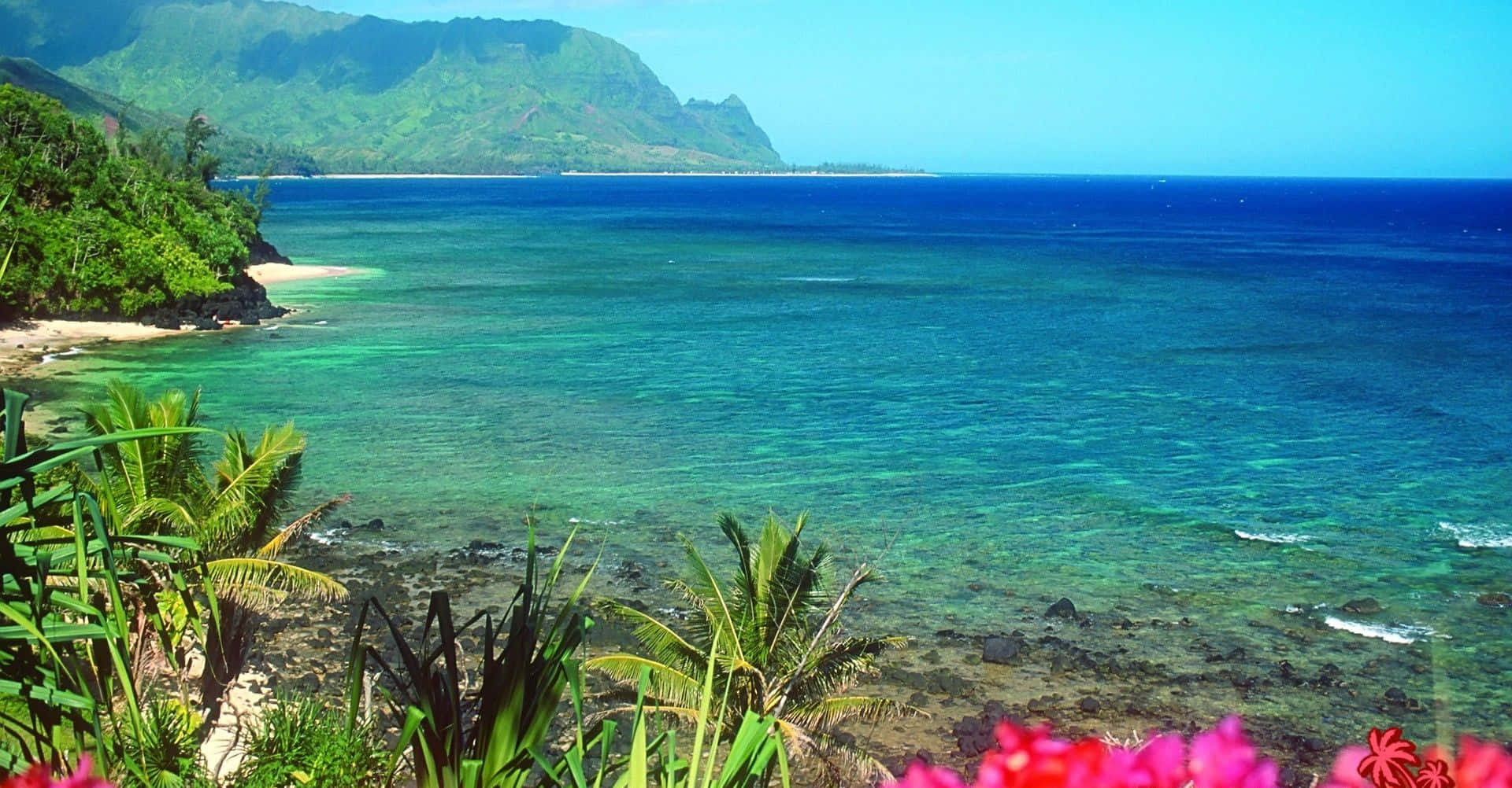 “Enjoy the surf and sand of Hawaii’s beautiful beaches.” Wallpaper