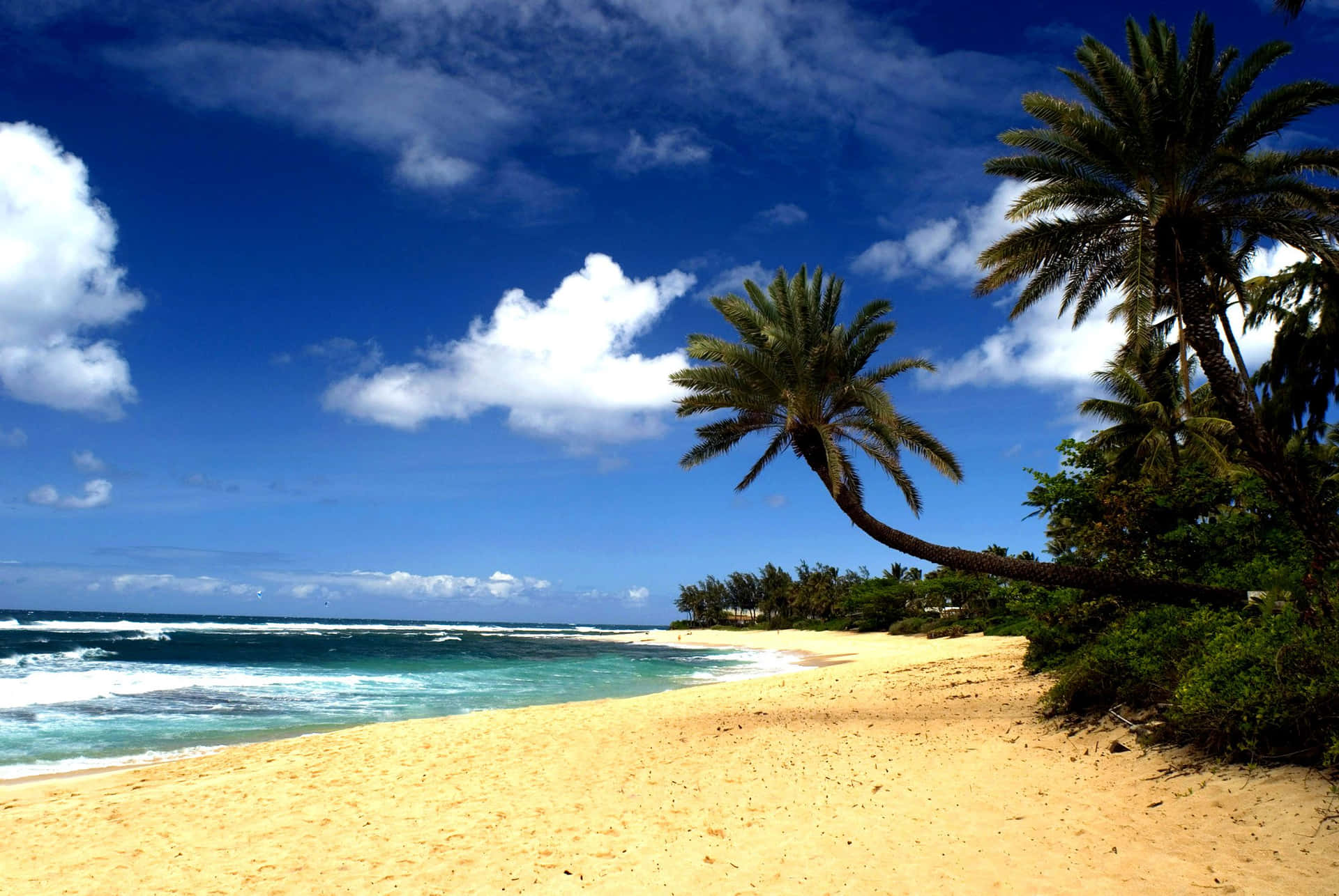 Slappe af på de sandede strande i Hawaii og mærk tropiske solstråler, der varmer din hud. Wallpaper