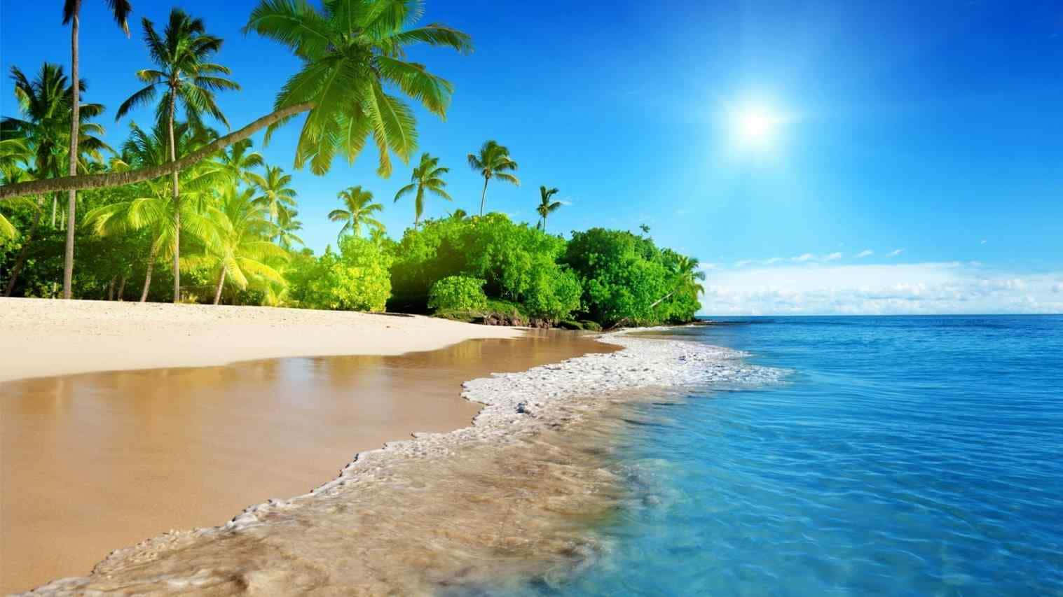 Download A Beach With Palm Trees And Water Wallpaper