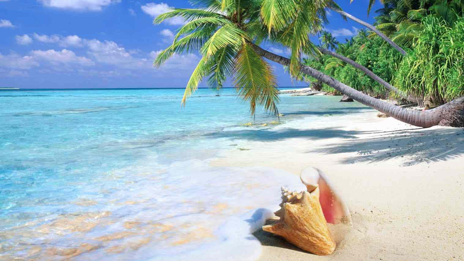 Sienteel Calor Del Sol Y Del Océano En La Playa De Hawái Fondo de pantalla