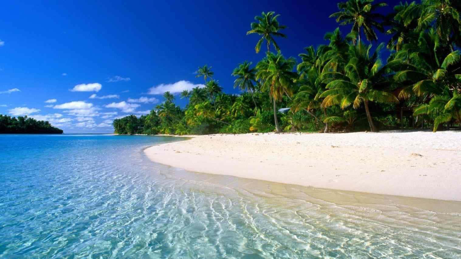 A Beach With Palm Trees And Clear Water Wallpaper