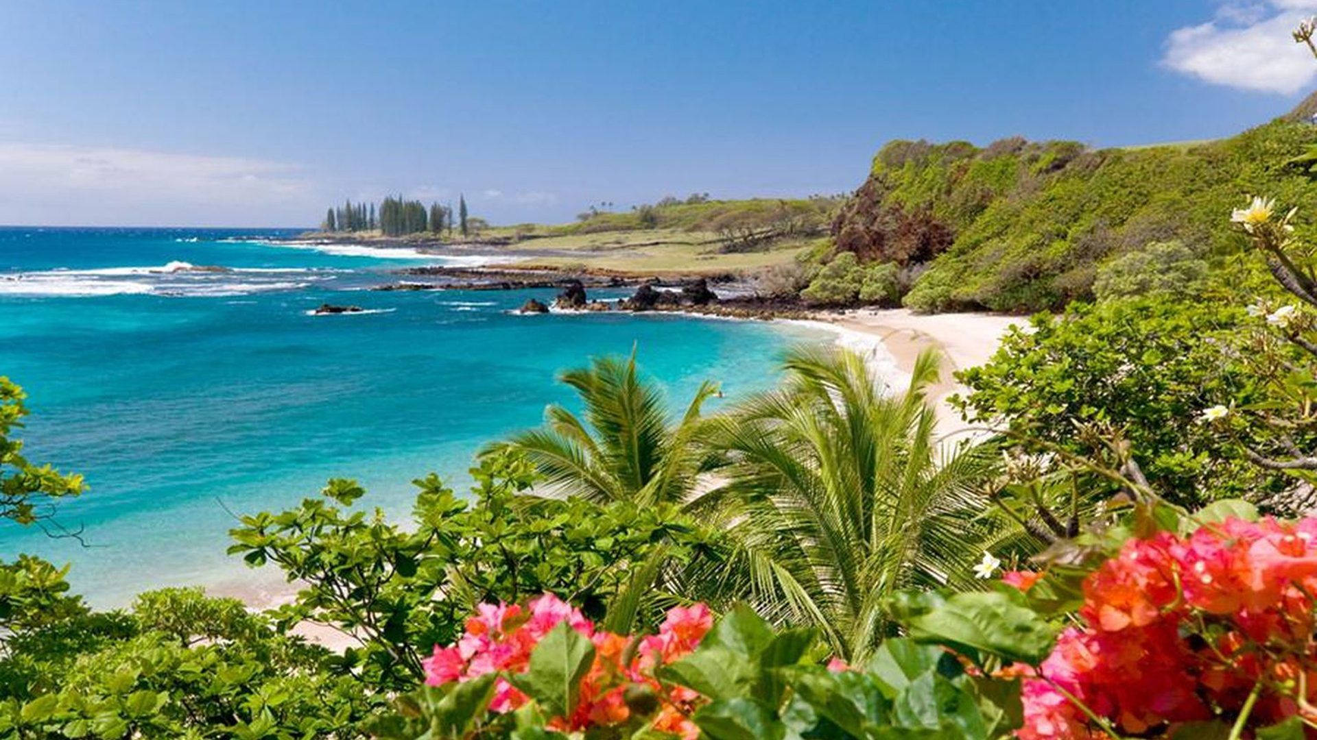 Hawaii Hamoa Beach Wallpaper