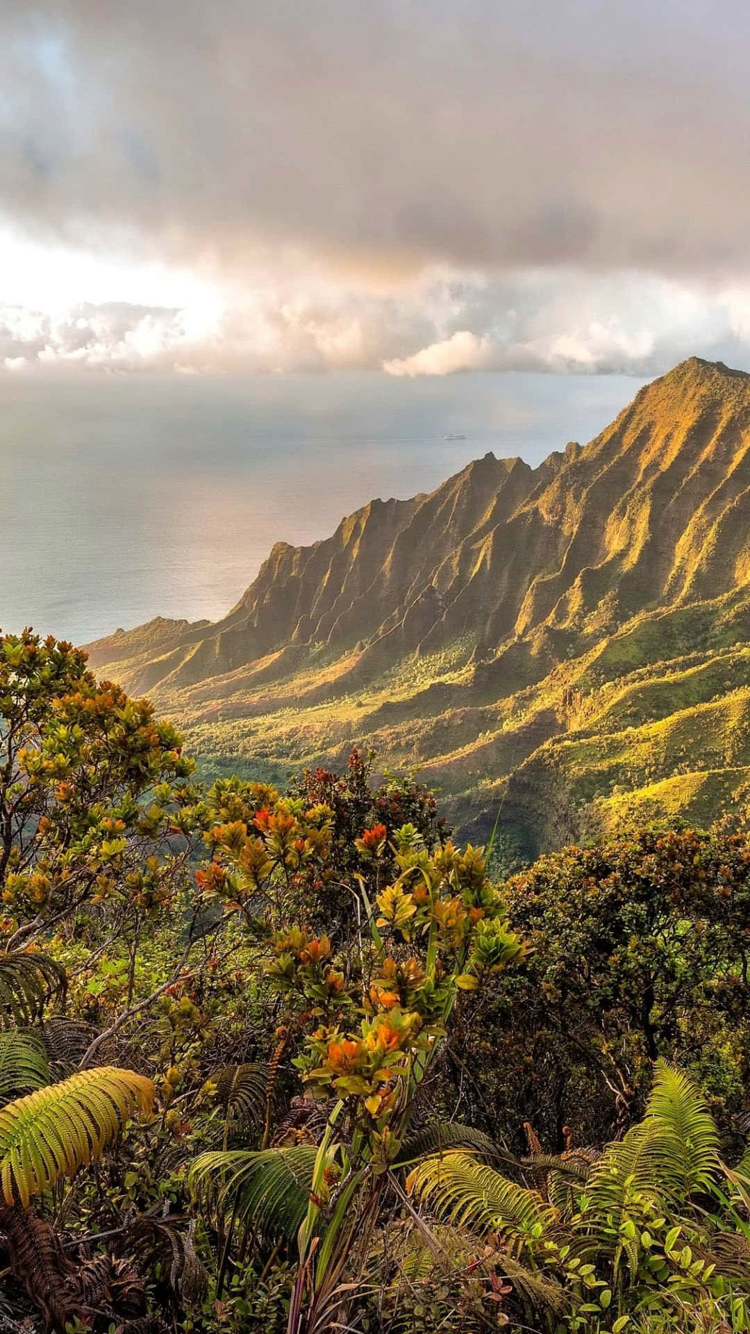Hawaii Green Mountain Iphone Wallpaper
