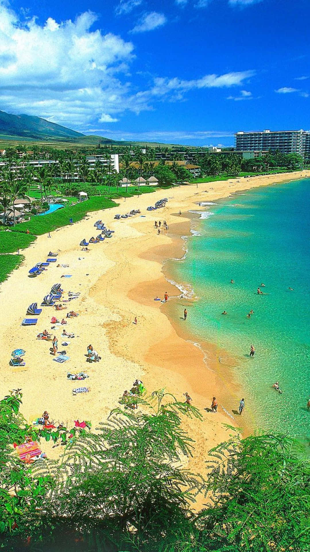 Esplorala Bellezza Delle Hawaii Con Il Tuo Iphone. Sfondo