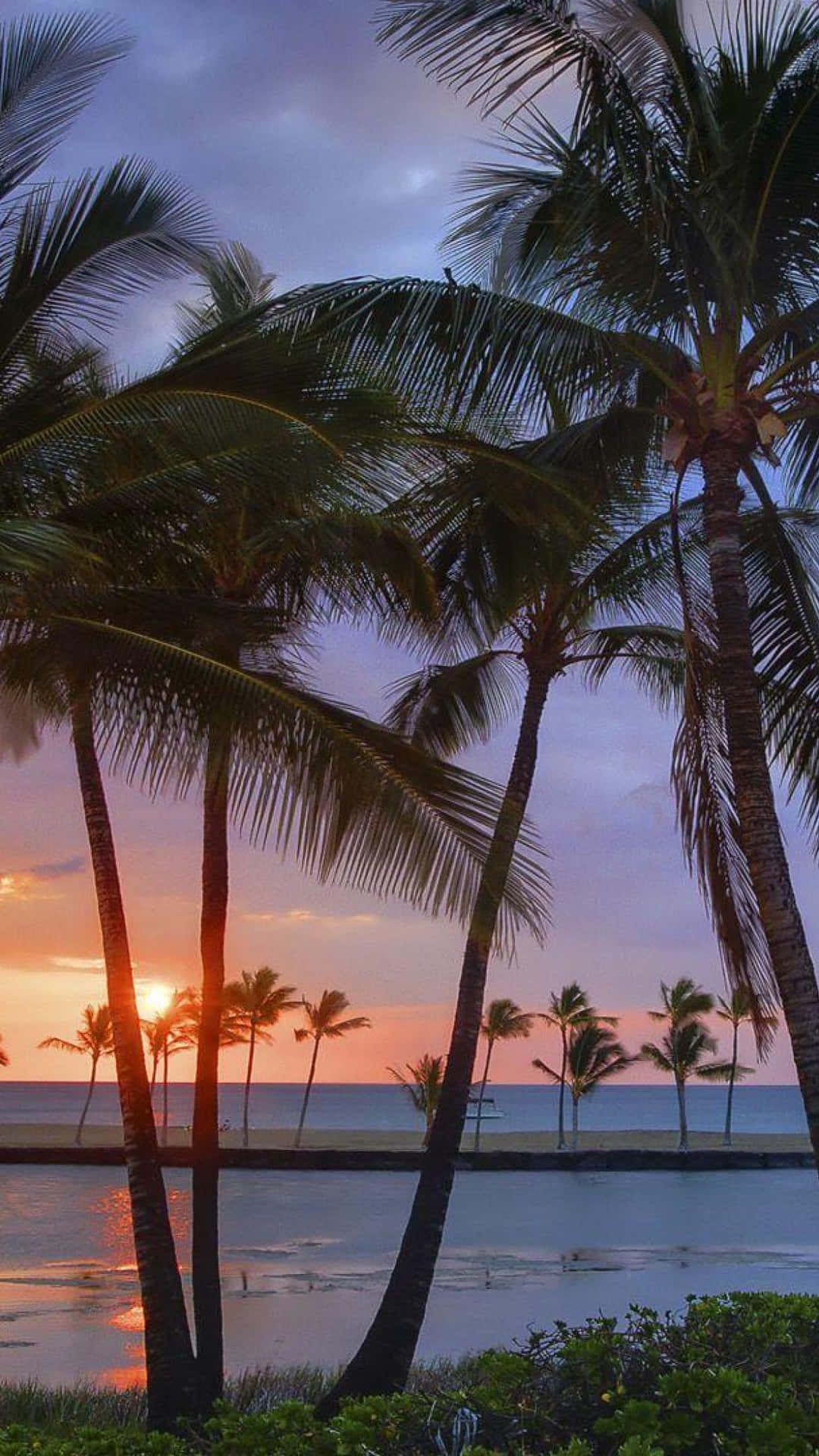 Genießensie Die Klaren Gewässer Von Hawaii Mit Ihrem Iphone. Wallpaper