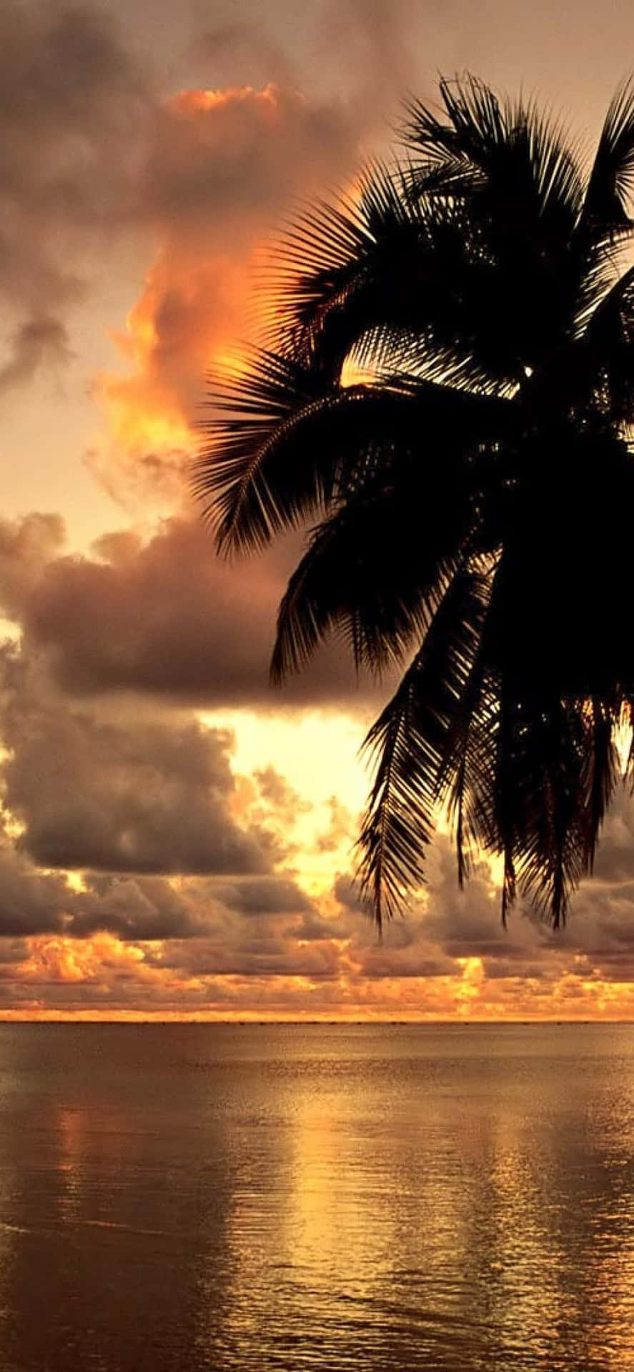 Genießensie Die Schönheit Von Hawaii Mit Ihrem Treuen Iphone. Wallpaper