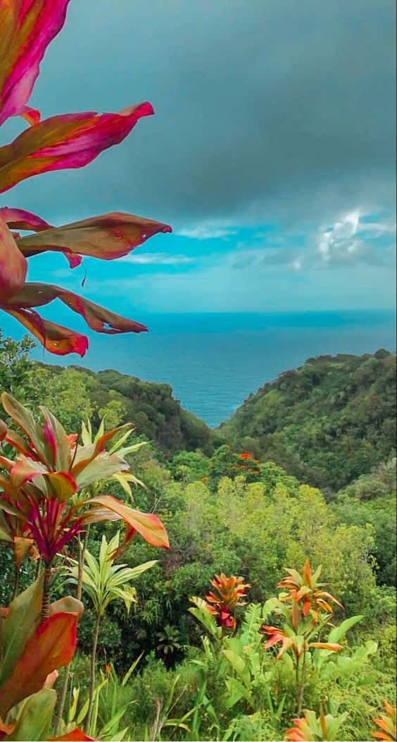 Njutav Din Dag Med En Vacker Utsikt Över Hawaii! Wallpaper