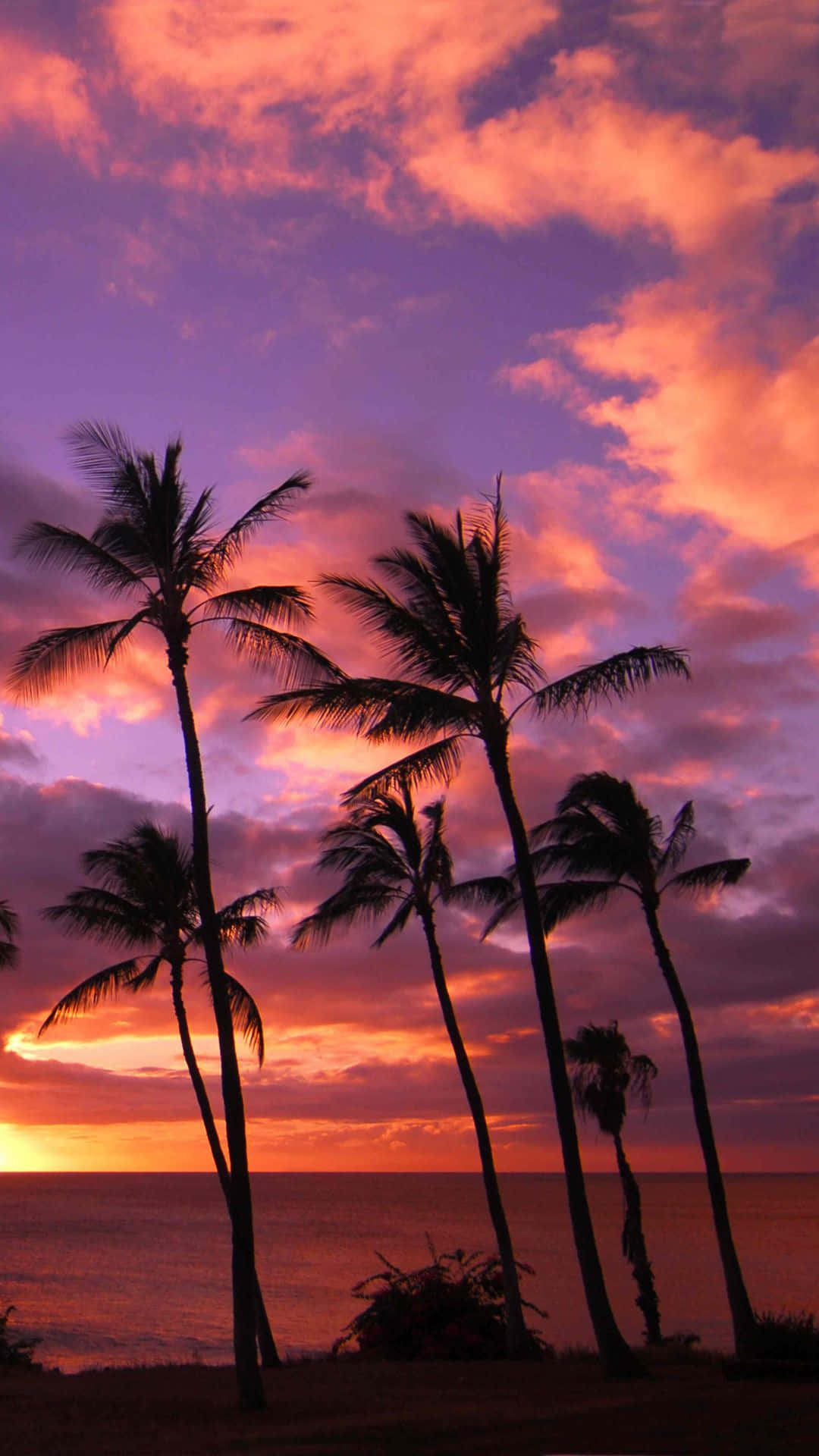Красивый закат на телефон. Сансет Бич Гавайи. Закат на Гавайях. Красивый закат. Необычный закат.