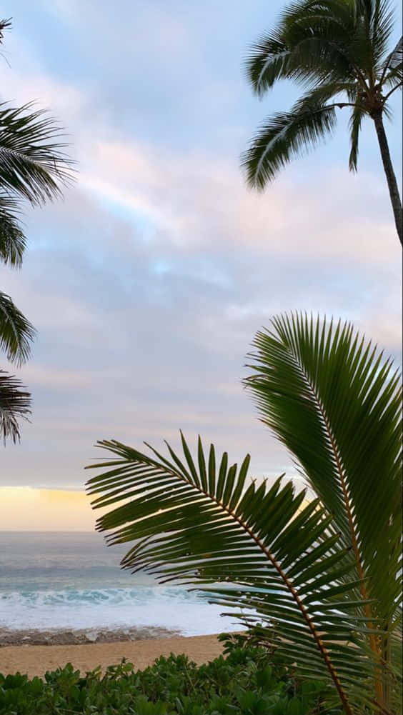 Paesaggioidilliaco Delle Hawaii Sfondo