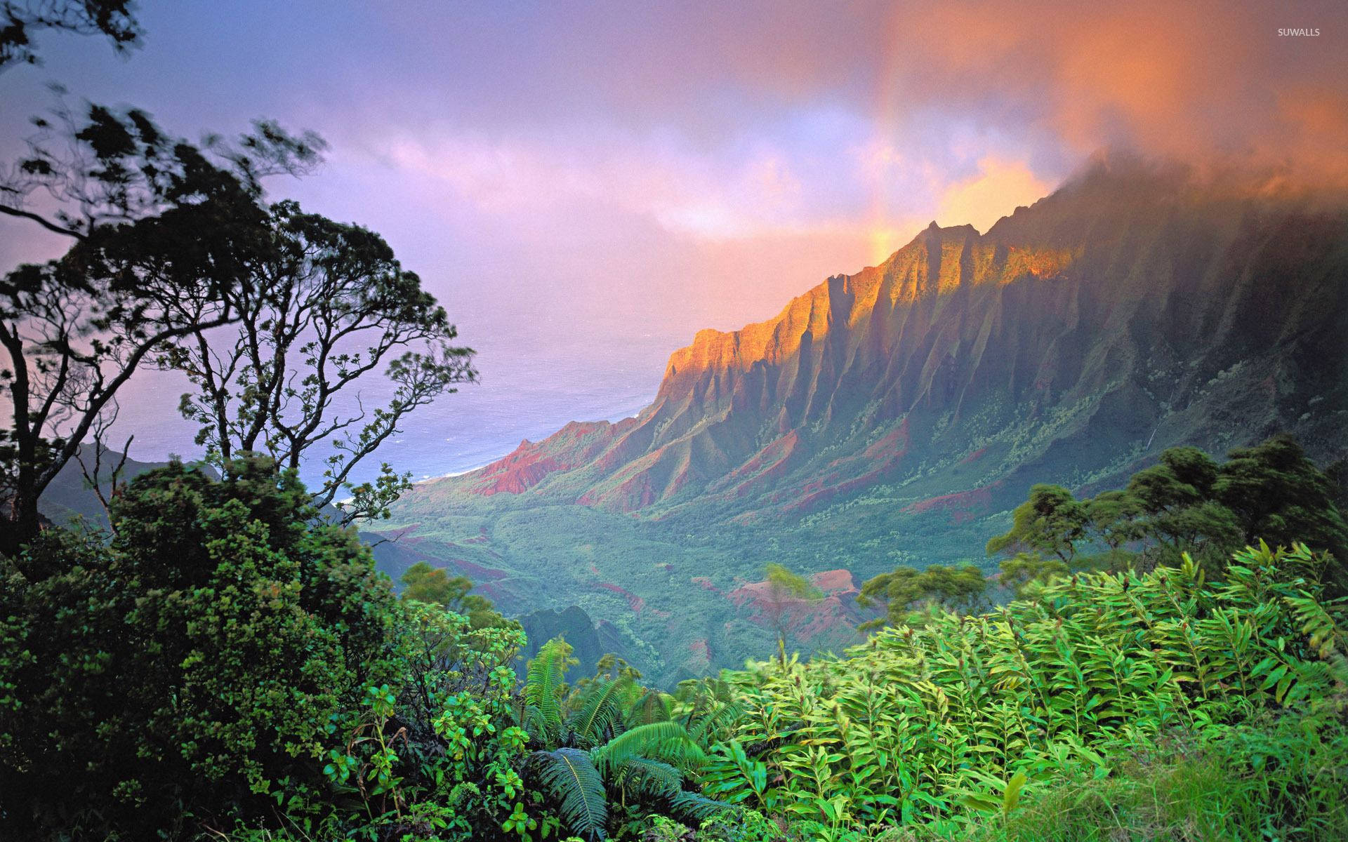 Hawaii Kalalau Valley