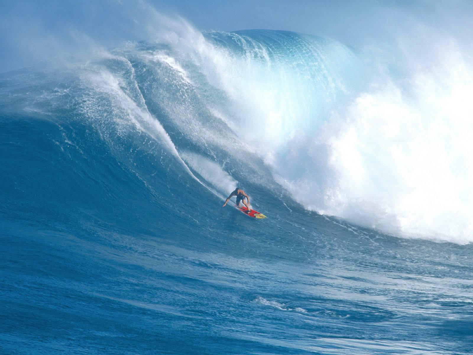 Hawaii Ocean Wave Surfing