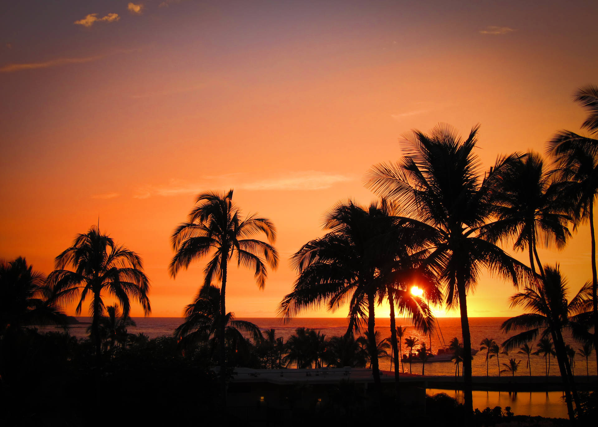 Hawaii Palms Silhouette Sunset