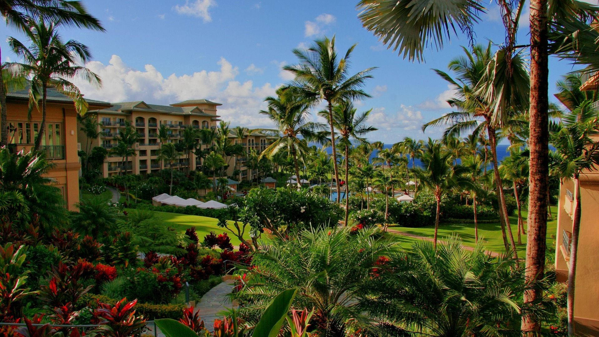 Hawaii Resort Hotel