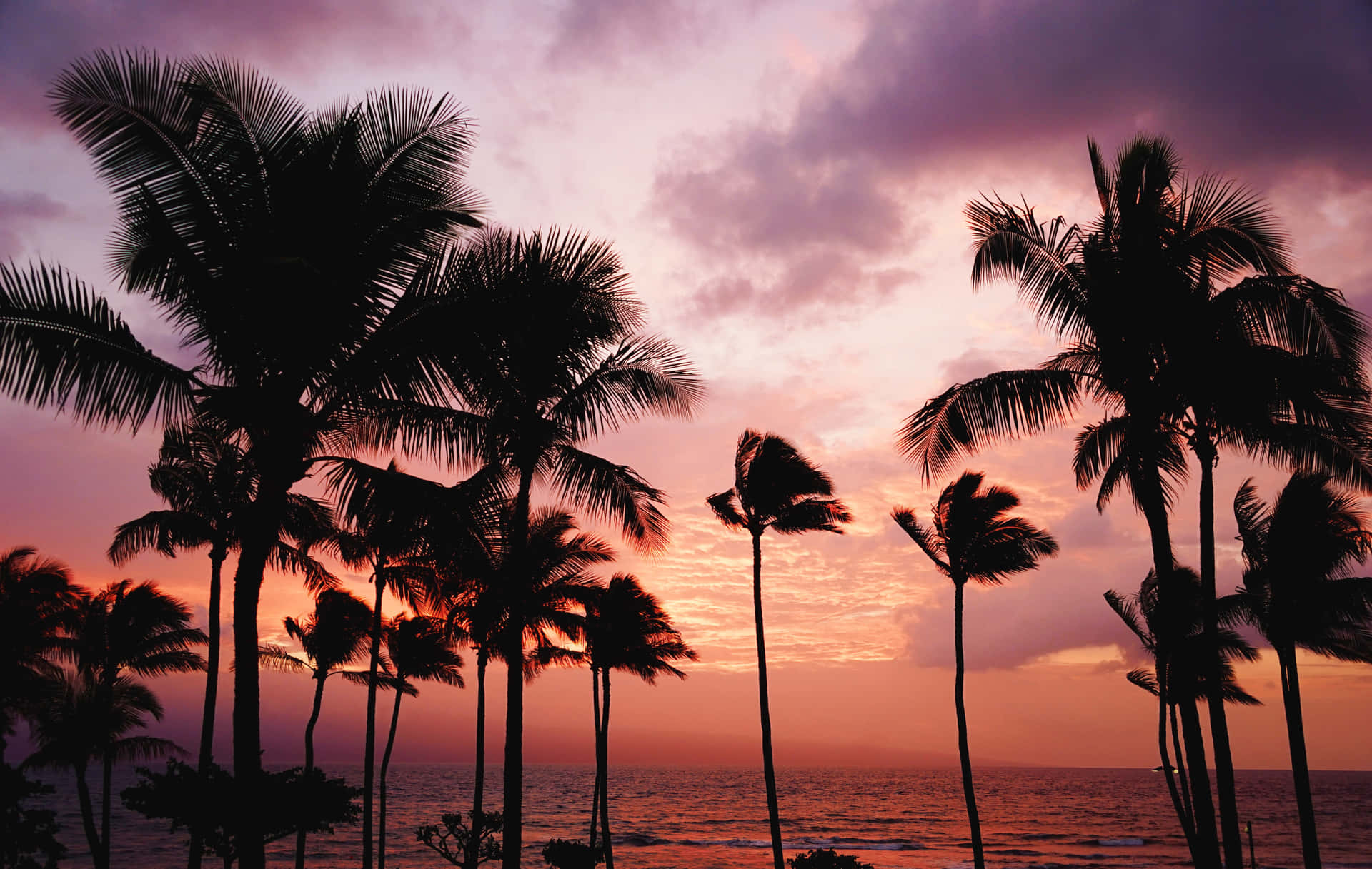 Contemplala Belleza De Una Puesta De Sol En Hawái Fondo de pantalla