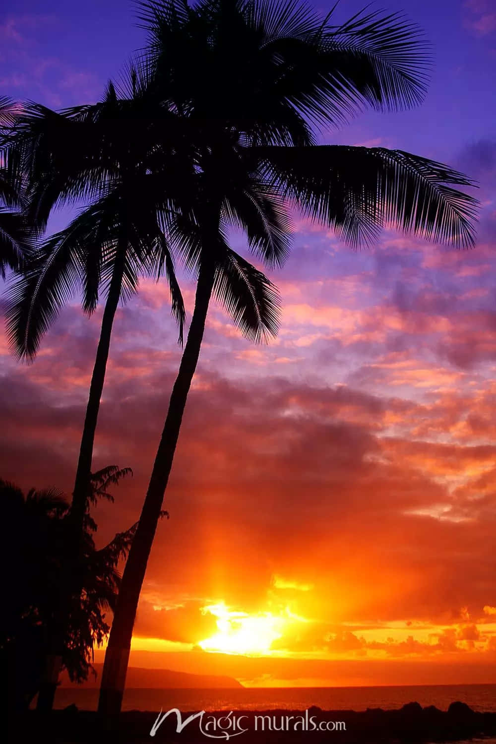 Envarm Og Afslappende Hawaiiansk Solnedgang. Wallpaper