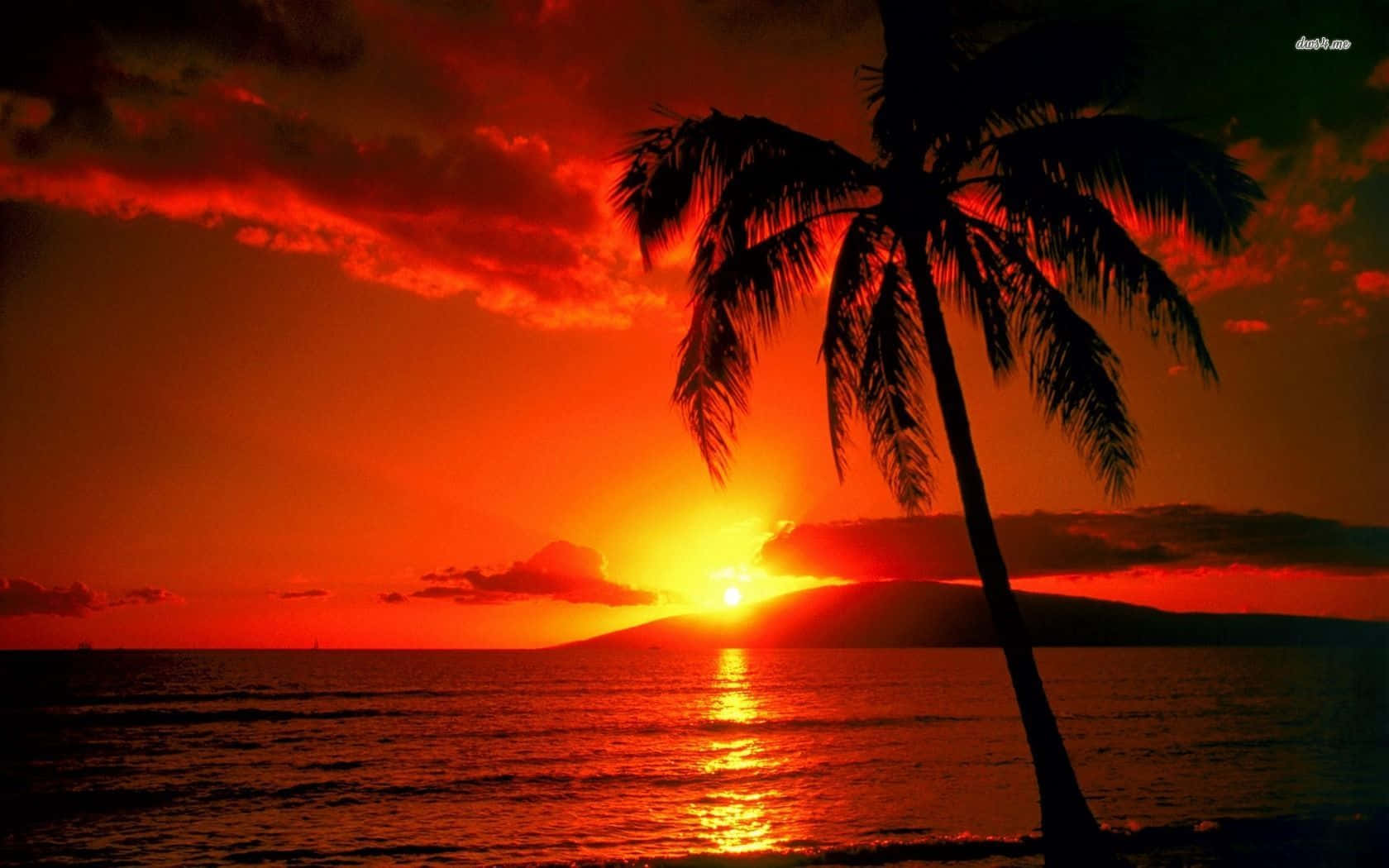 Enjoying a picturesque sunset in Hawaii Wallpaper