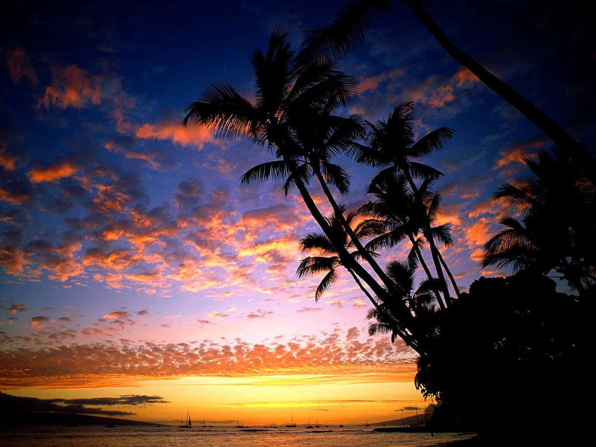 Låtdig Hänföras Av De Förtrollande Färgerna I En Hawaiiansk Solnedgång På Ditt Dator- Eller Mobilskrivbord. Wallpaper