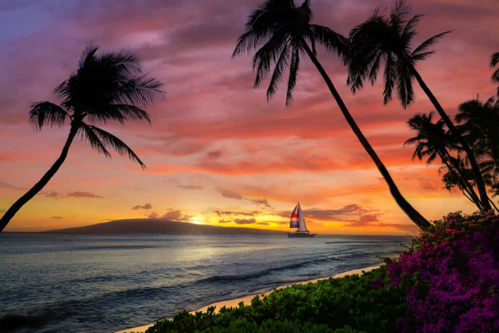 En himmelsk hawaiisk solnedgang til din skrivebord. Wallpaper