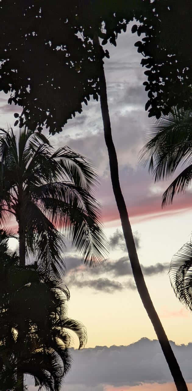Enfantastisk Syn På Hawaii -- En Gyllene Solnedgång Över Horisonten. Wallpaper