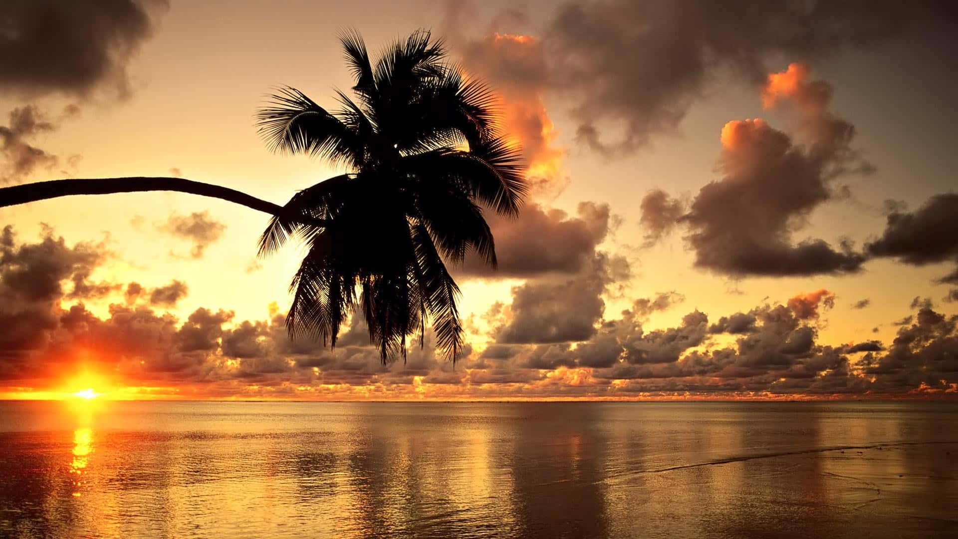 Njutav En Magisk Solnedgång På Hawaii. Wallpaper