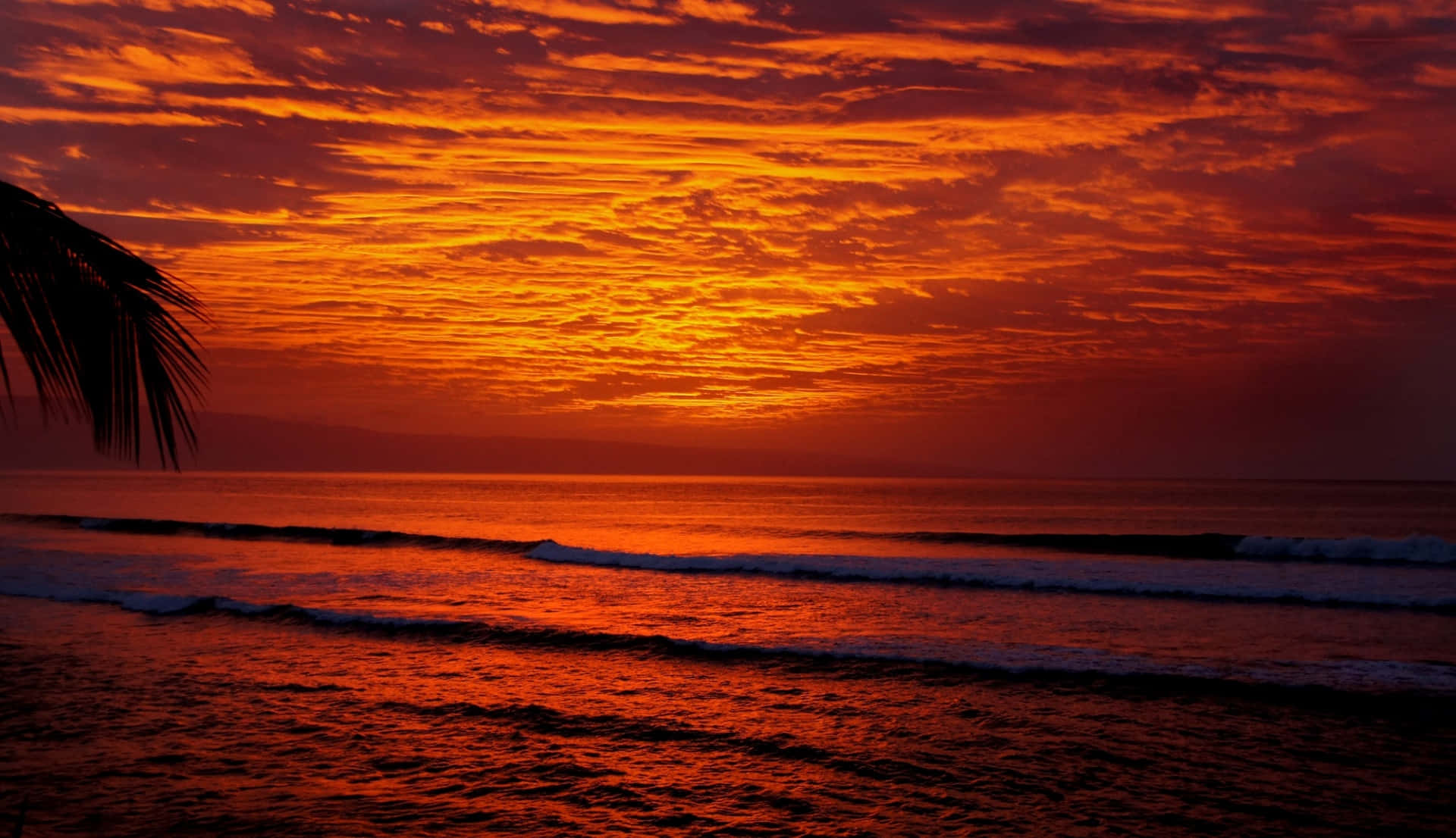 Enjoy the beauty of the Hawaiian sunset Wallpaper