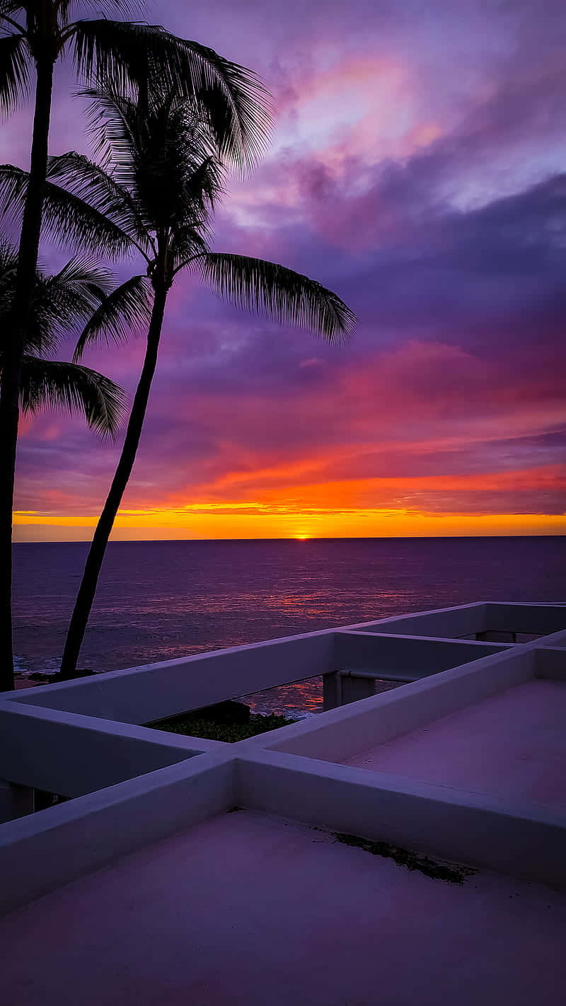 A Sunset Over A Palm Tree And Ocean Wallpaper