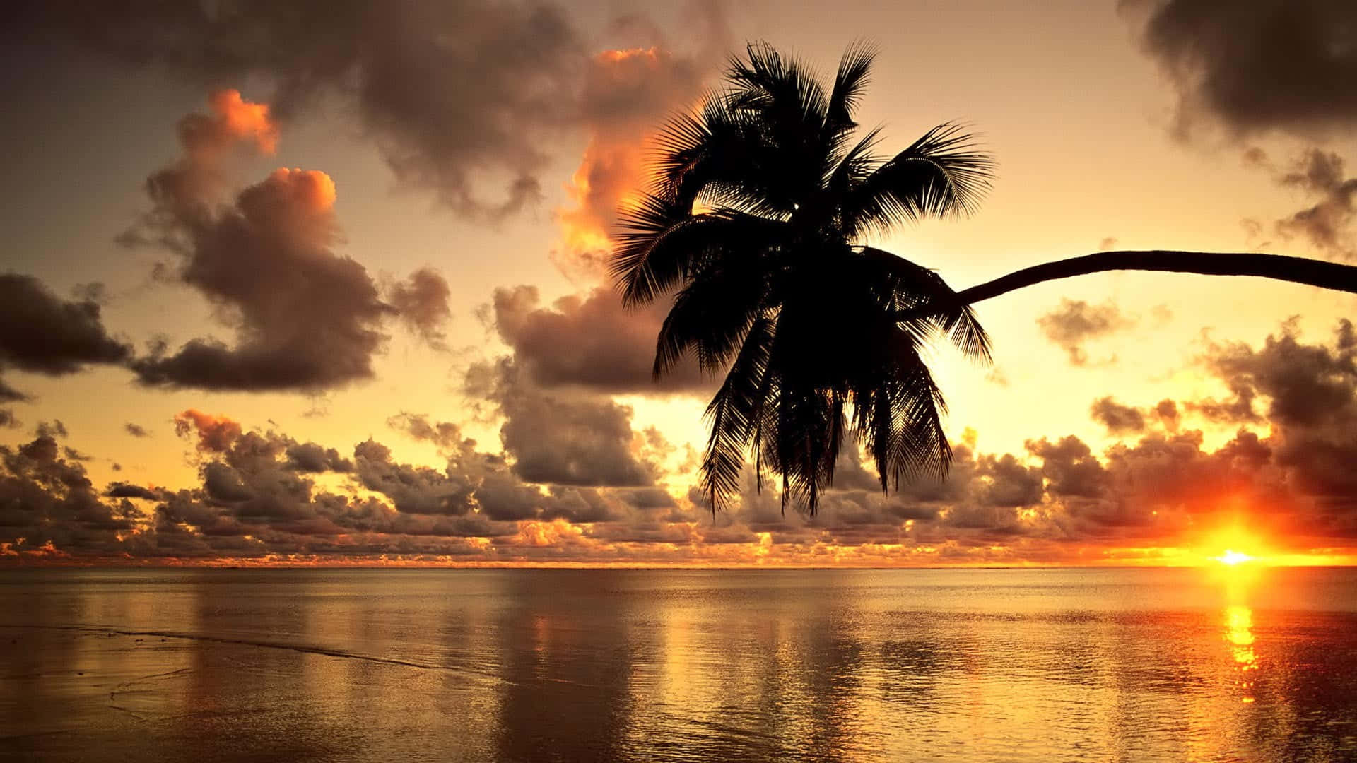 "Paradise Awaits - A Stunning Hawaiian Sunset View" Wallpaper