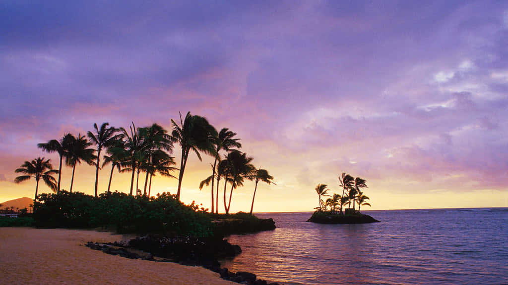 Einfriedlicher Sonnenuntergang In Hawaii ✨ Wallpaper