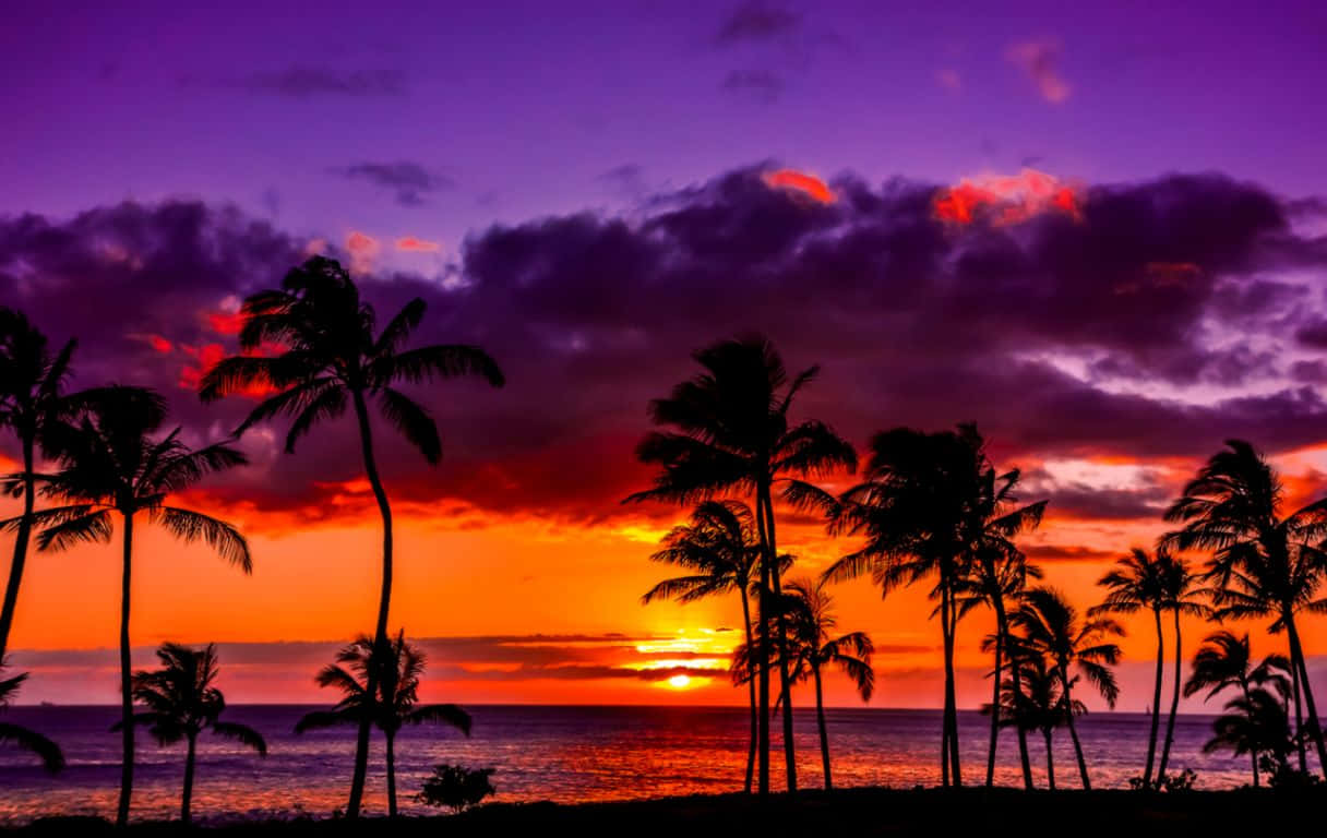 Fühledas Aloha Mit Einem Hawaiianischen Sonnenuntergang. Wallpaper